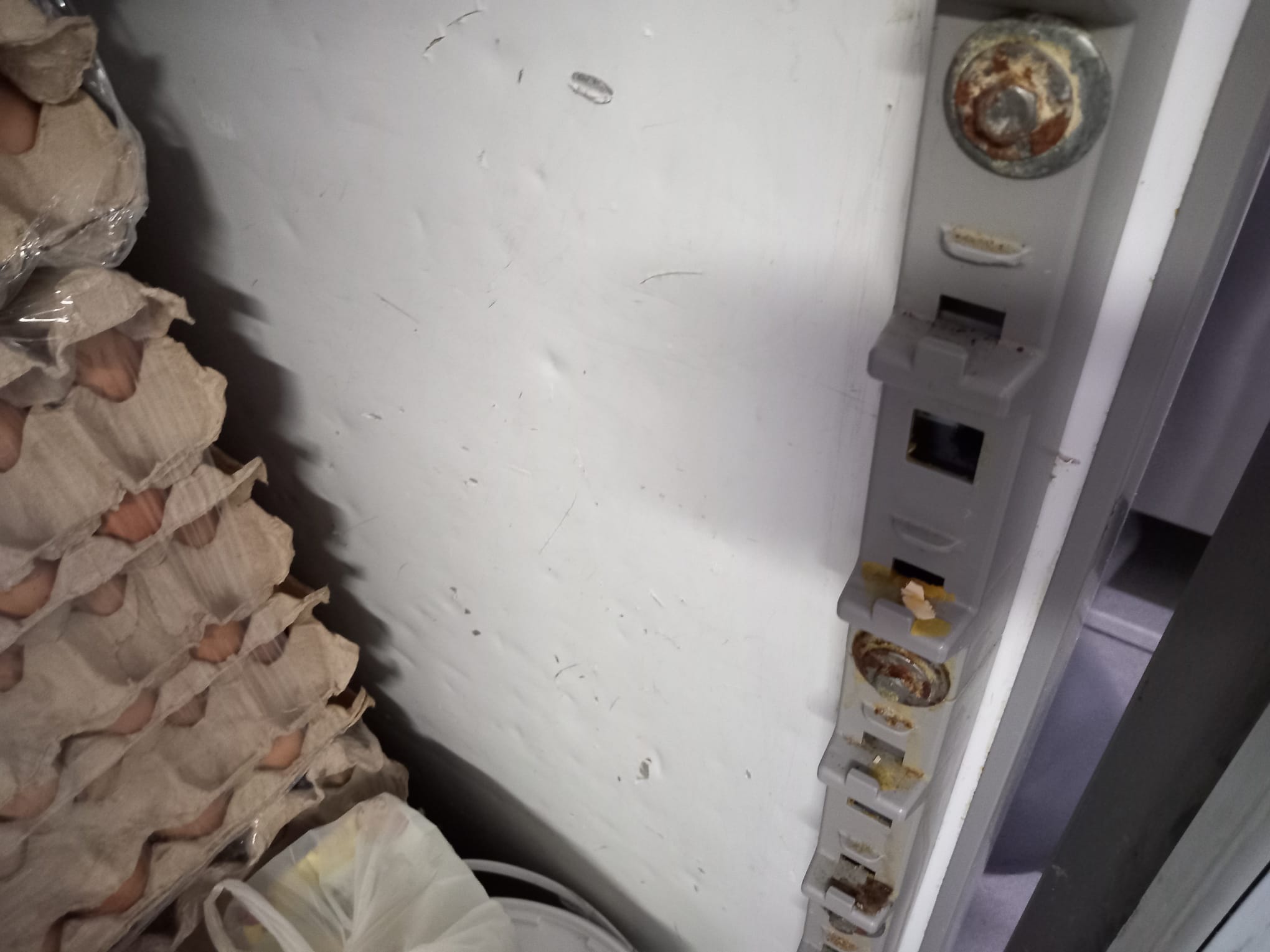 WhatsApp Image 2025-05-30 at 15.46.52