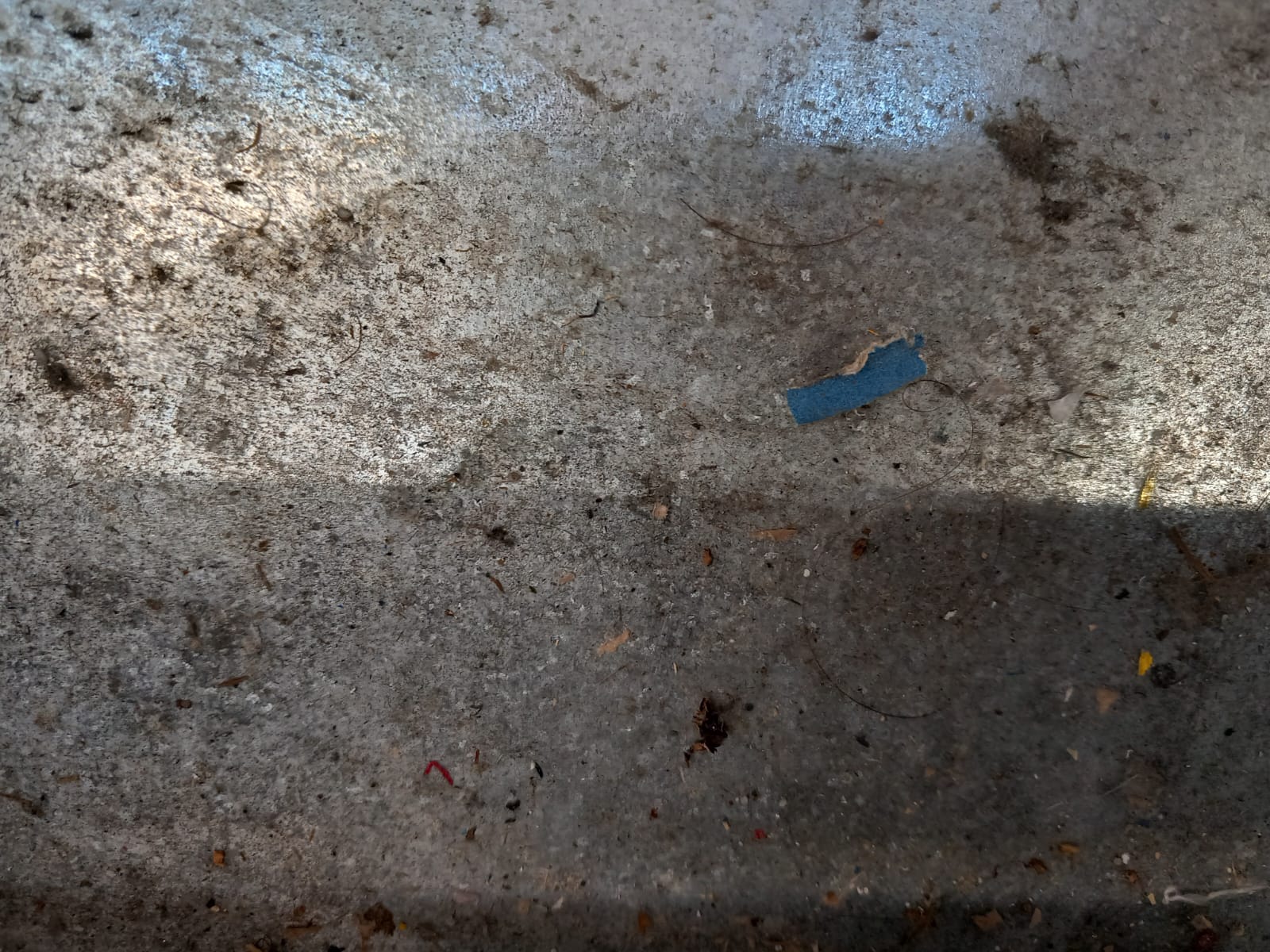 WhatsApp Image 2025-06-23 at 14.12.06 (1)