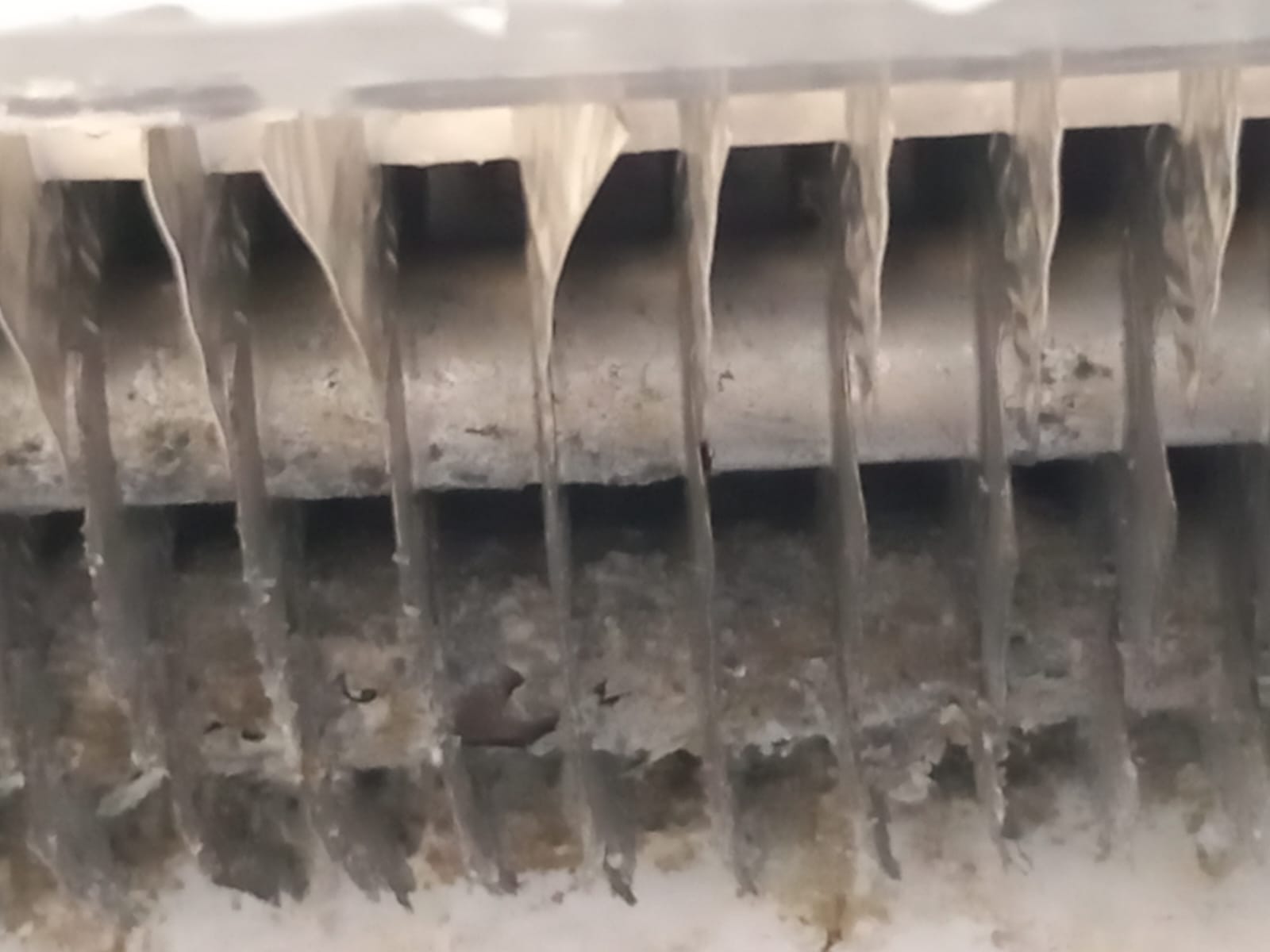 WhatsApp Image 2025-06-23 at 14.12.07