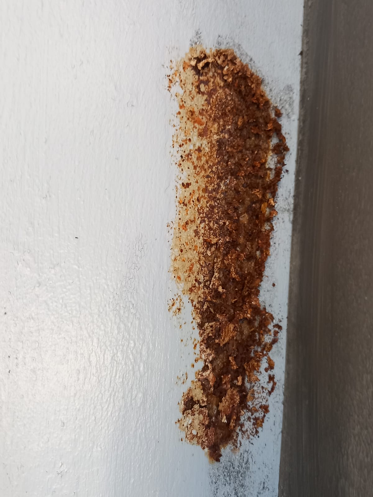 WhatsApp Image 2025-06-23 at 14.12.07 (3)