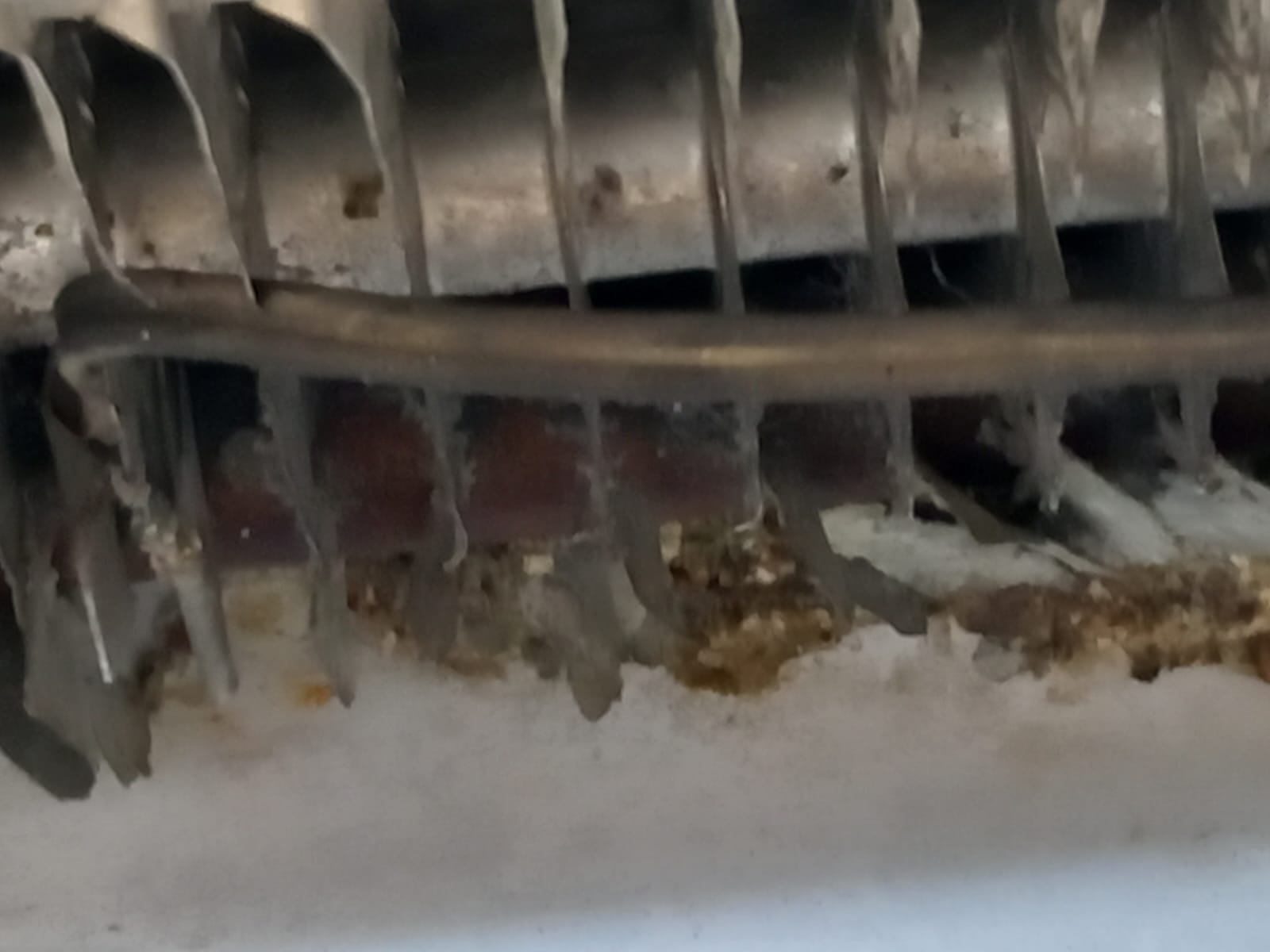 WhatsApp Image 2025-06-23 at 14.12.07 (1)