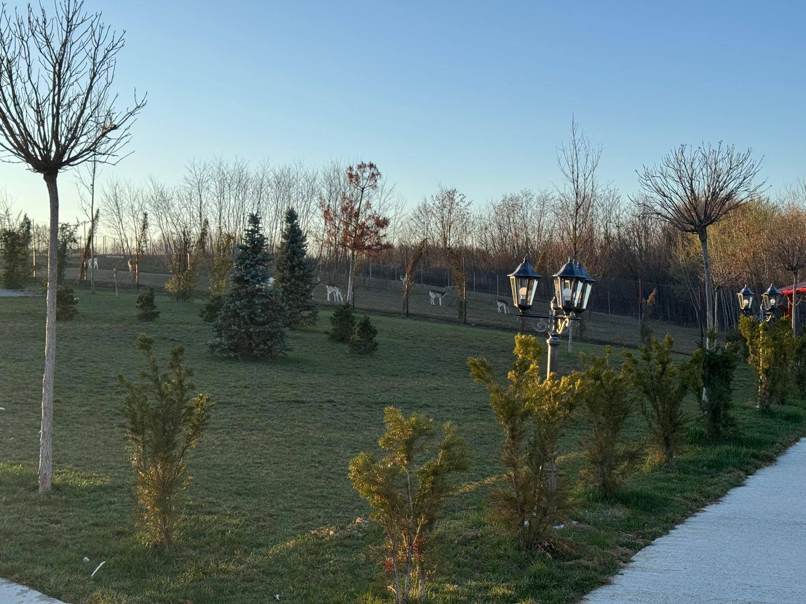 485886112_9710698385635677_6805444256760314457_n