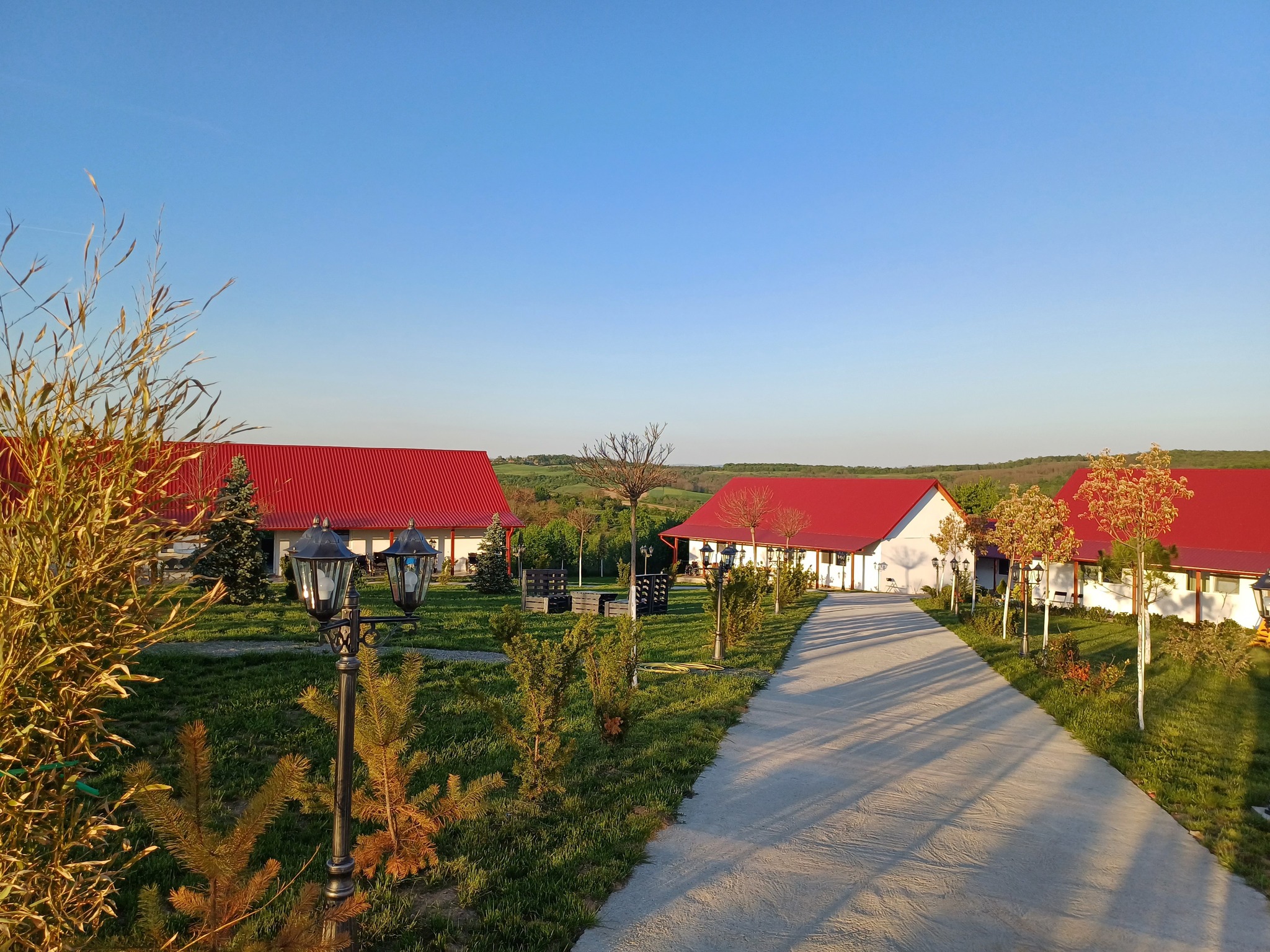 493264877_9905152039549496_4825528391139652706_n