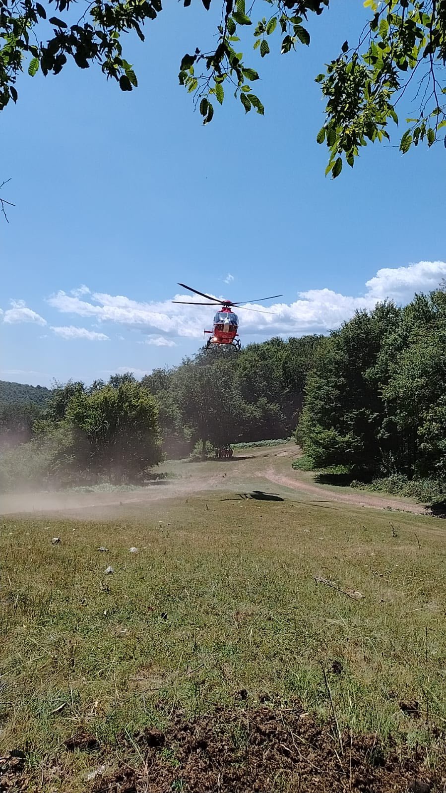 513515457_1136578938280240_3540633669259024654_n