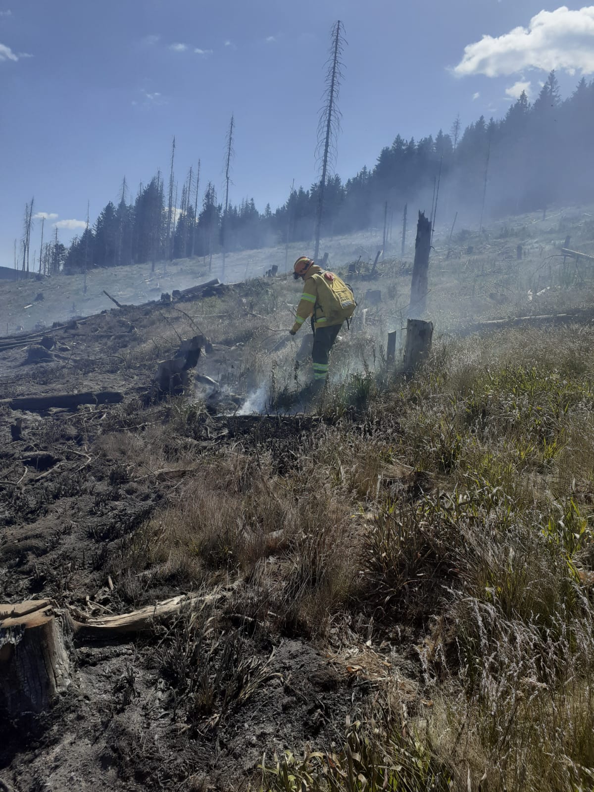 WhatsApp Image 2025-06-26 at 22.03.37 (1)