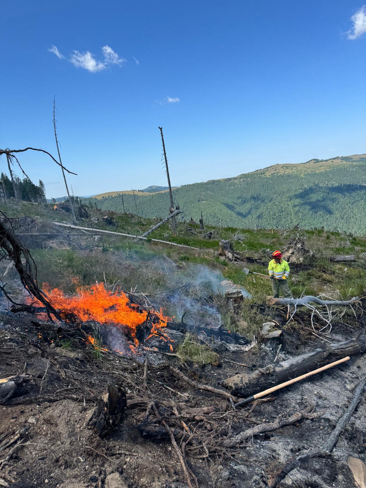 WhatsApp Image 2025-06-26 at 22.03.38