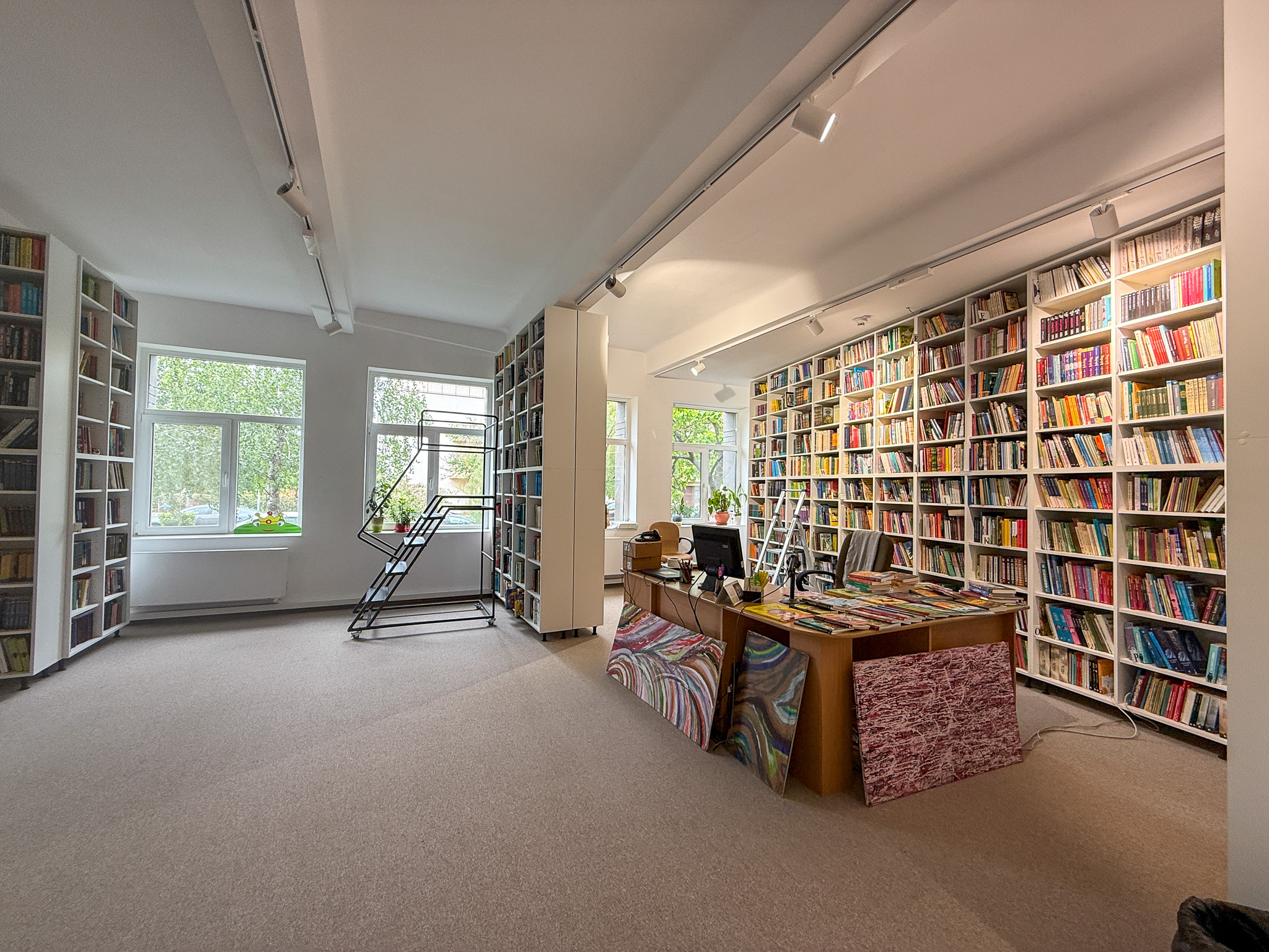 Biblioteca Judeteana Gheorghe Sincai (15)