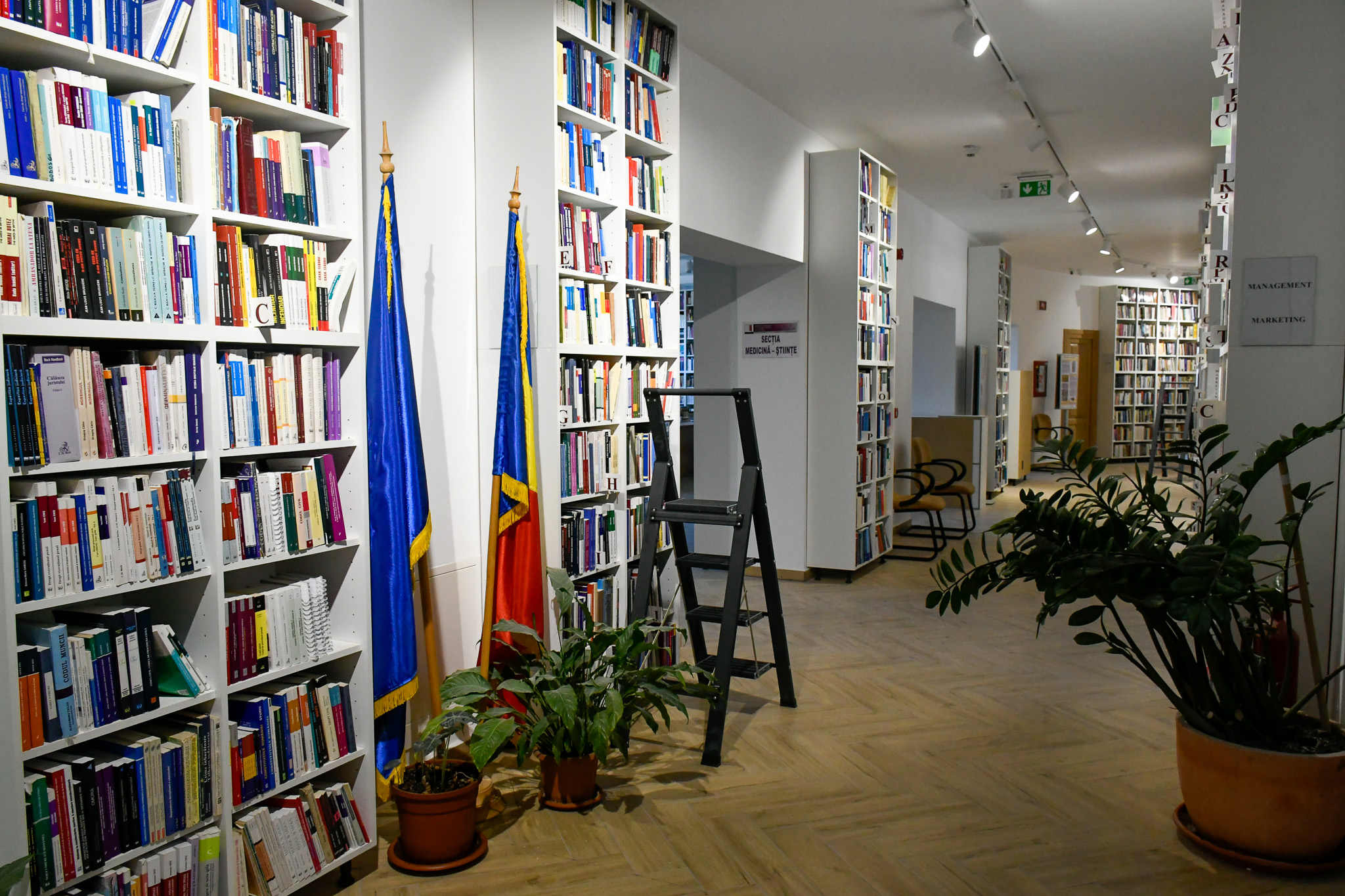 Biblioteca Judeteana Gheorghe Sincai (8)