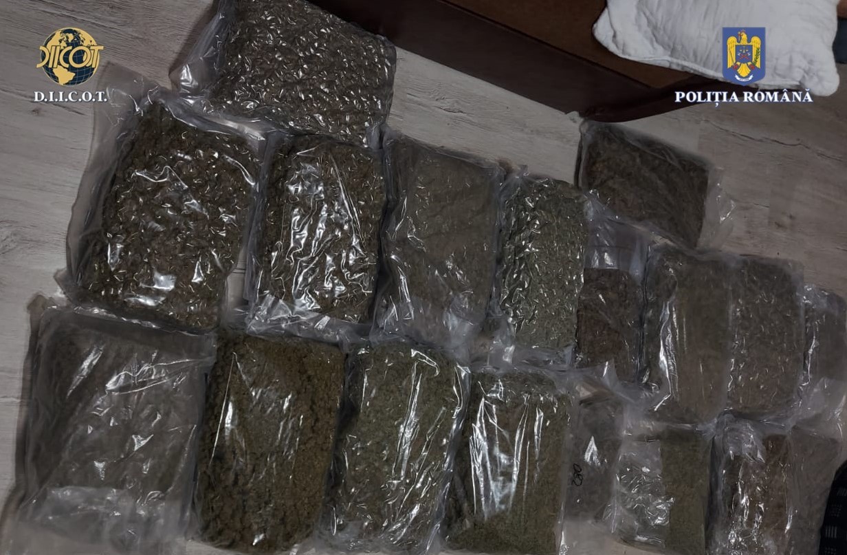 thumbnail_canabis găsit la Herrada2