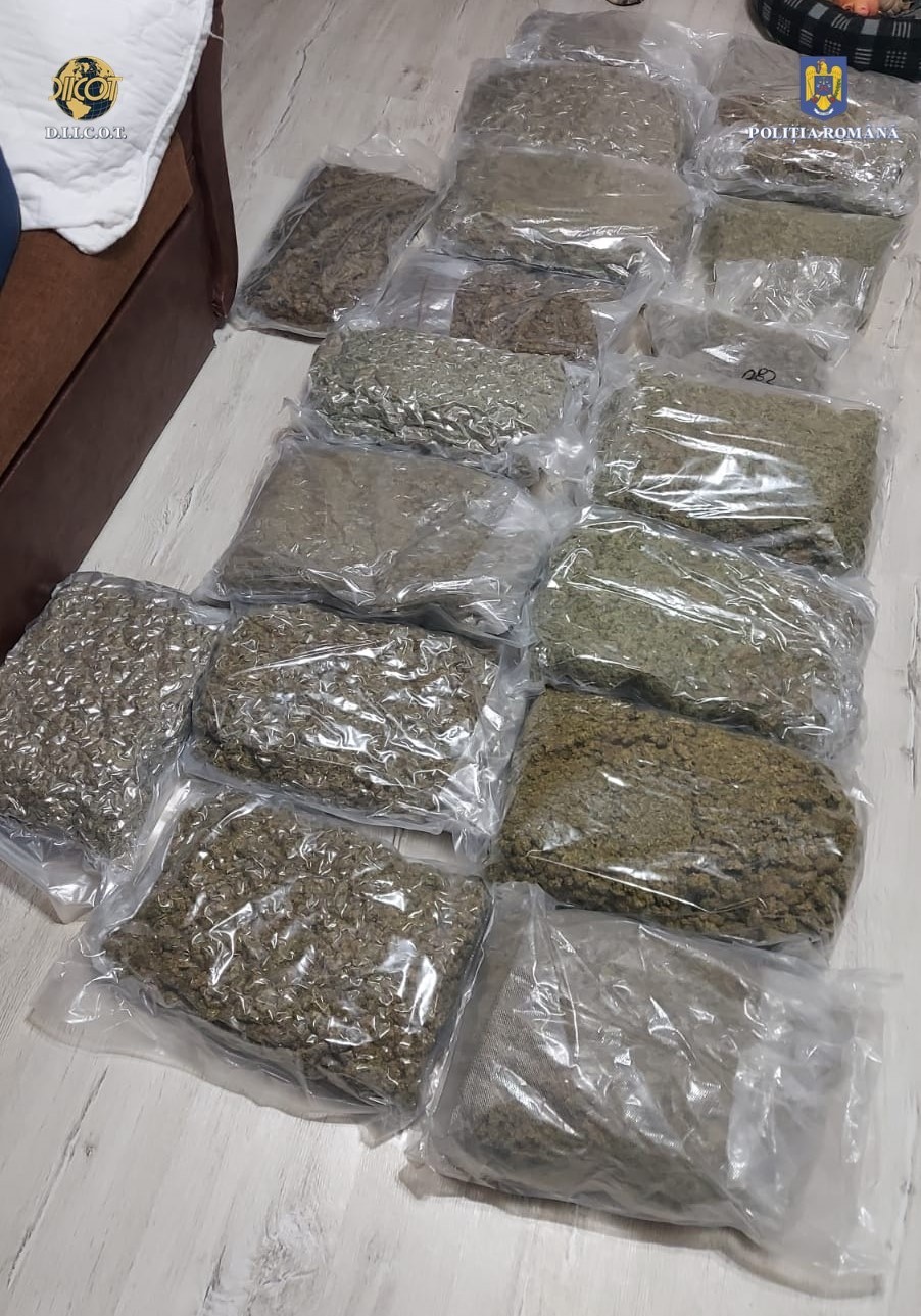 thumbnail_canabis găsit la Herrada1