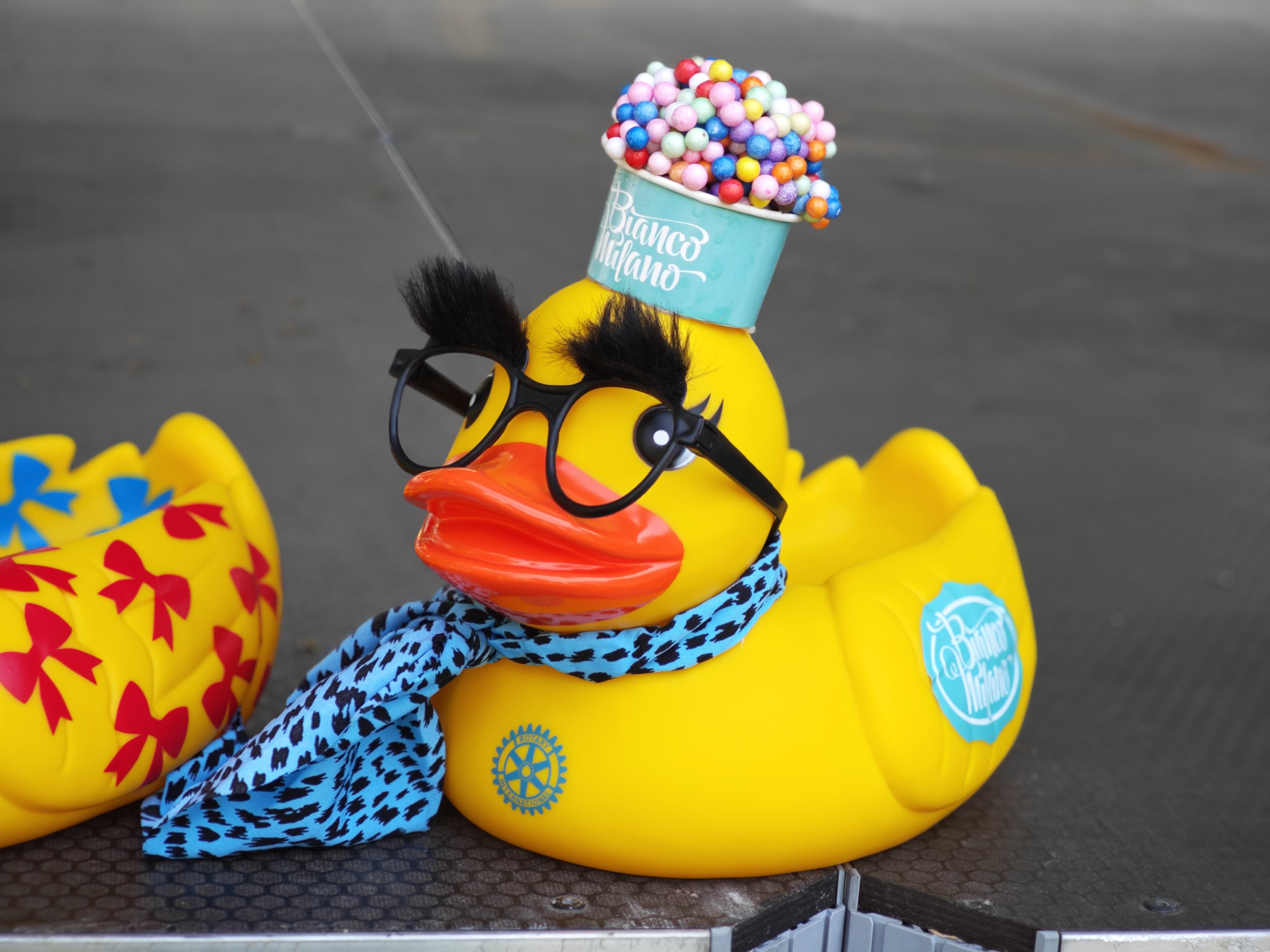 WhatsApp Image 2025-06-01 at 11.57.47 (1)