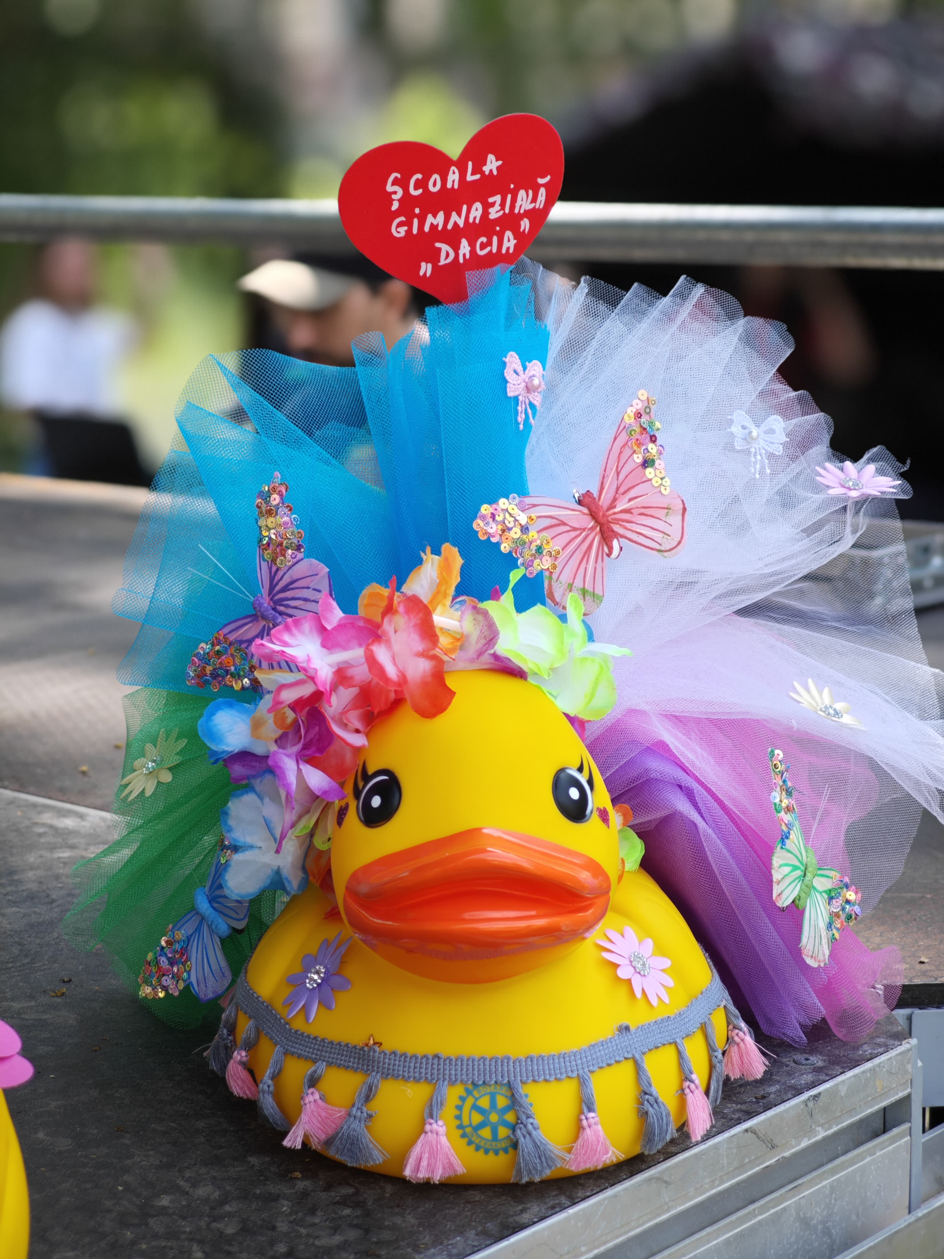 WhatsApp Image 2025-06-01 at 11.57.47 (3)