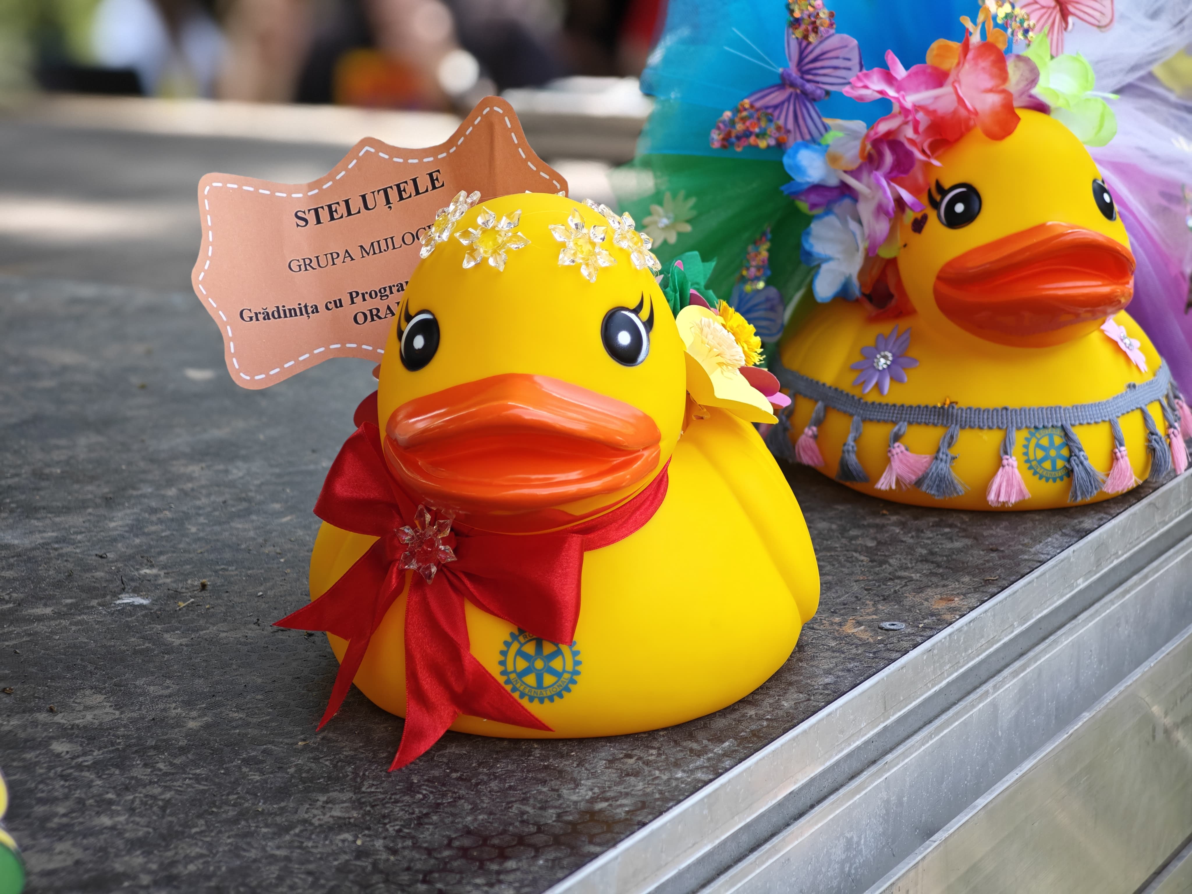 WhatsApp Image 2025-06-01 at 11.57.47 (4)