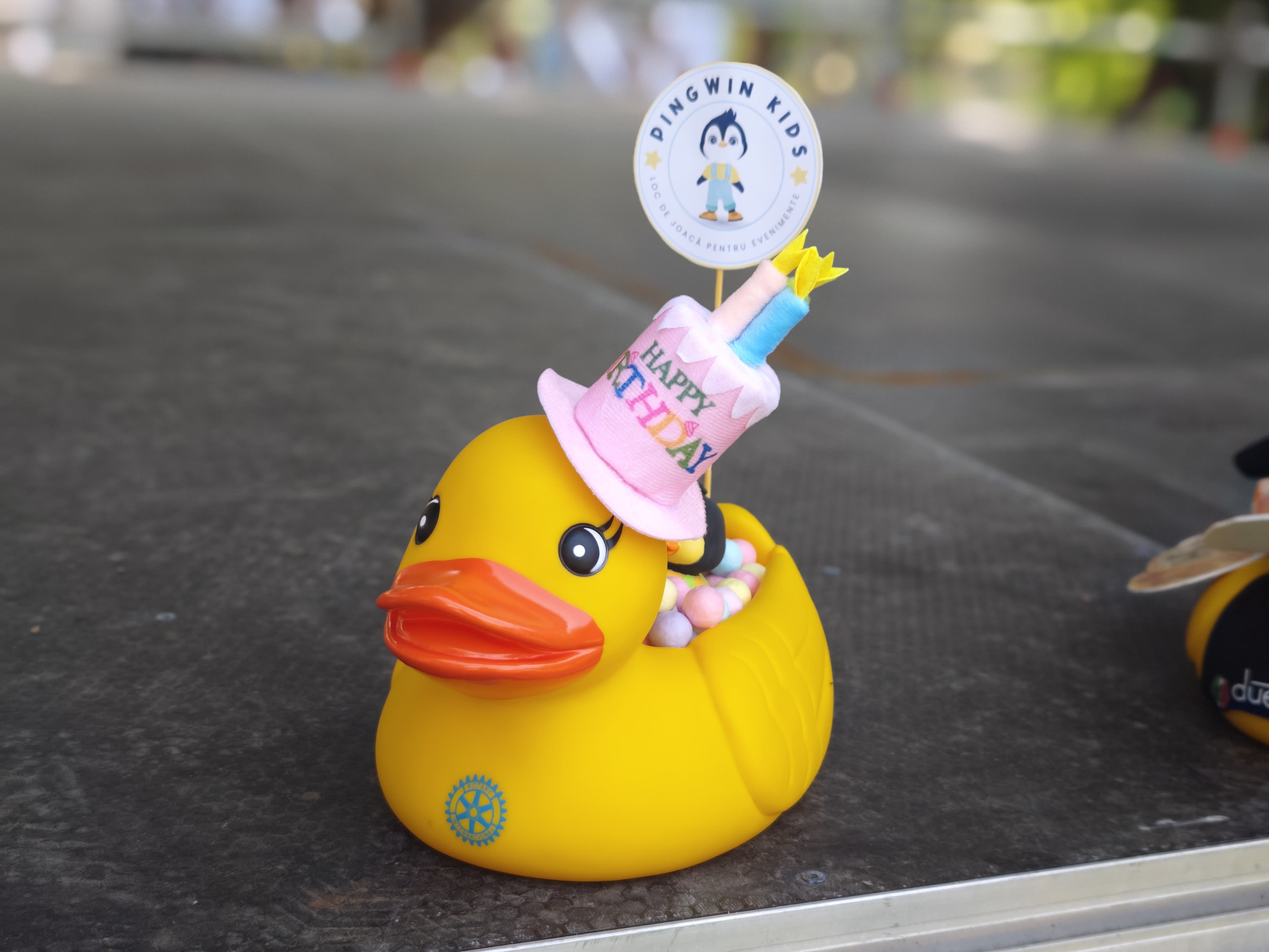 WhatsApp Image 2025-06-01 at 11.57.48 (4)