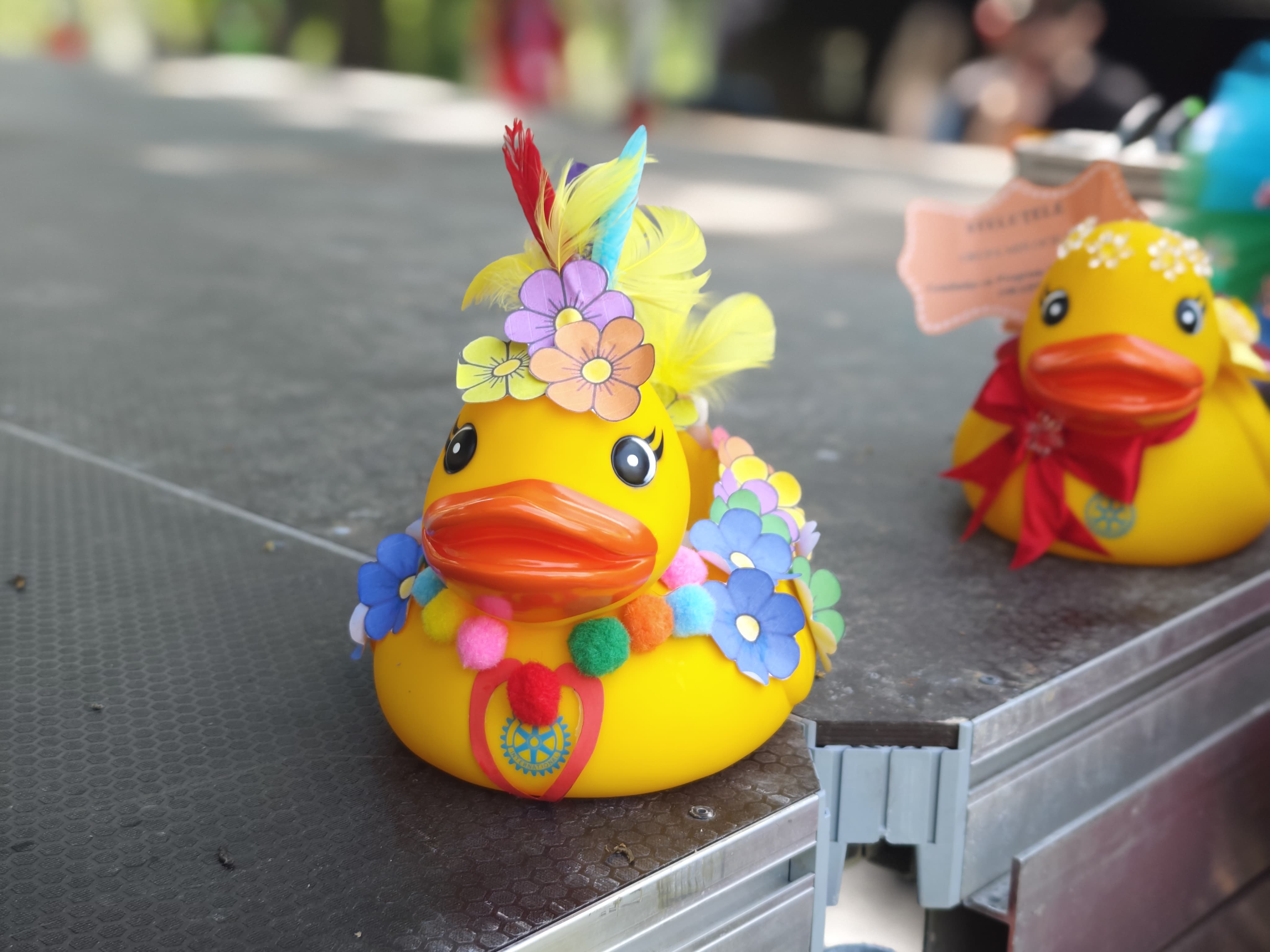 WhatsApp Image 2025-06-01 at 11.57.48