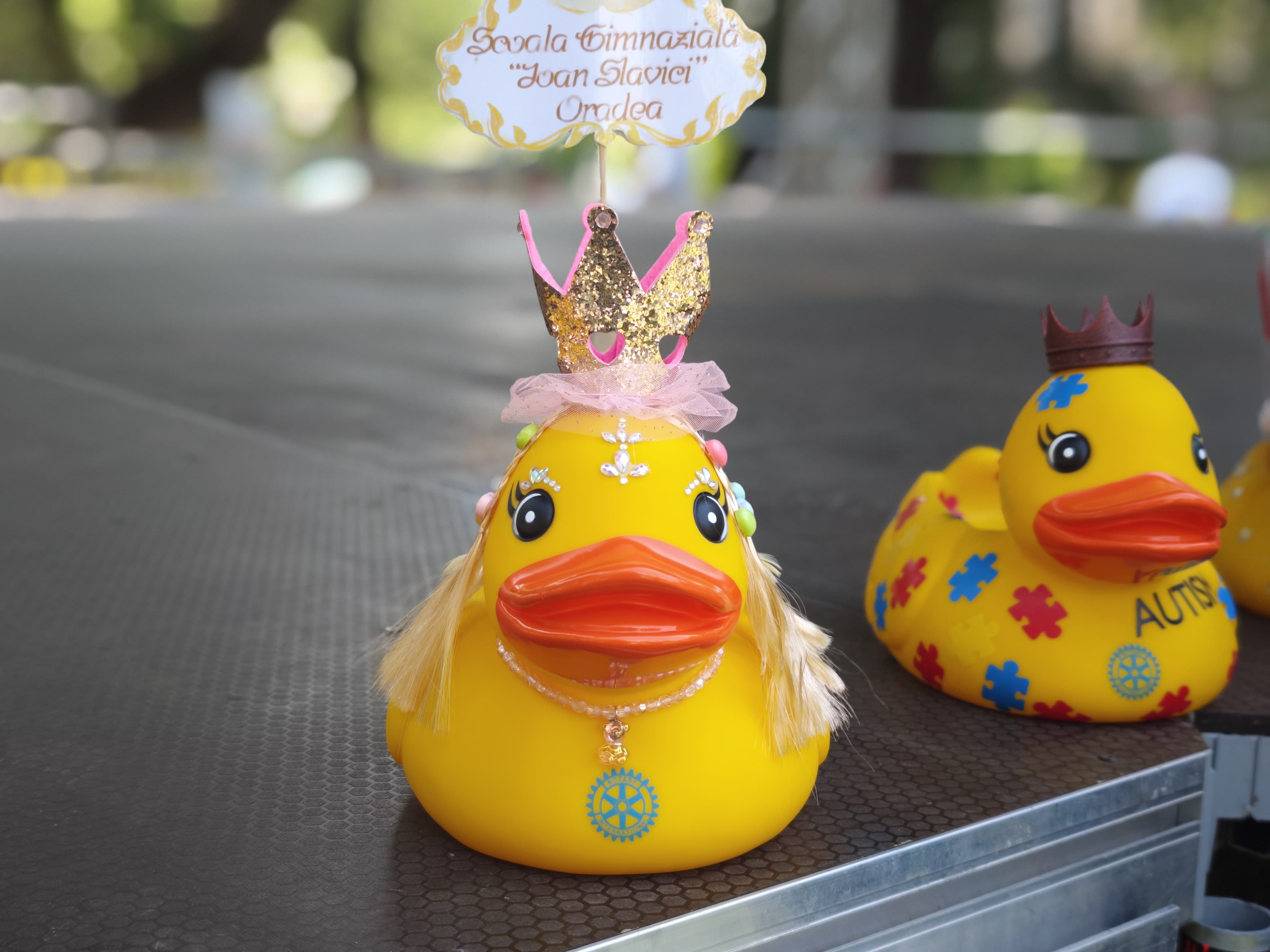 WhatsApp Image 2025-06-01 at 11.57.49 (1)