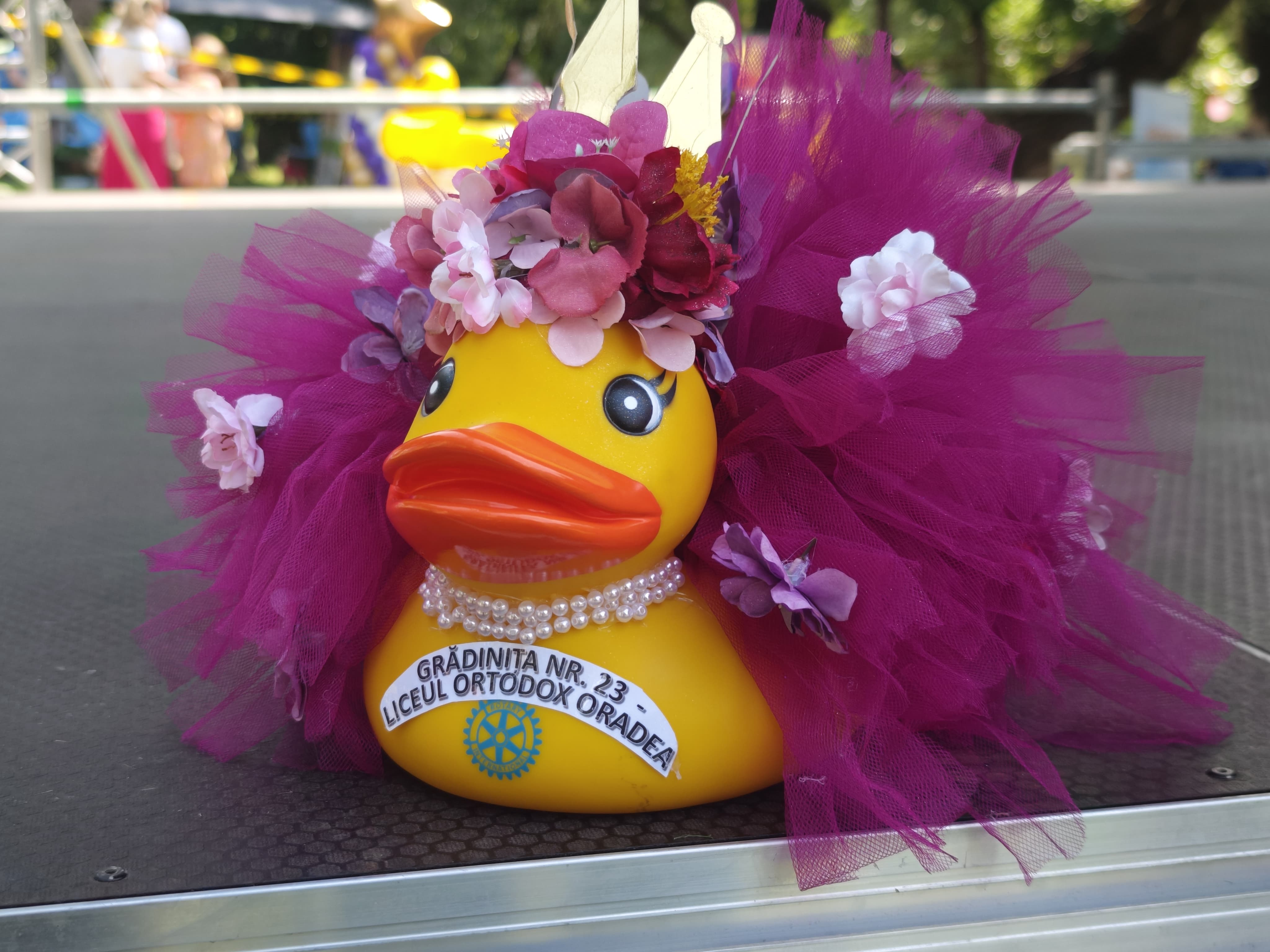 WhatsApp Image 2025-06-01 at 11.57.49 (3)