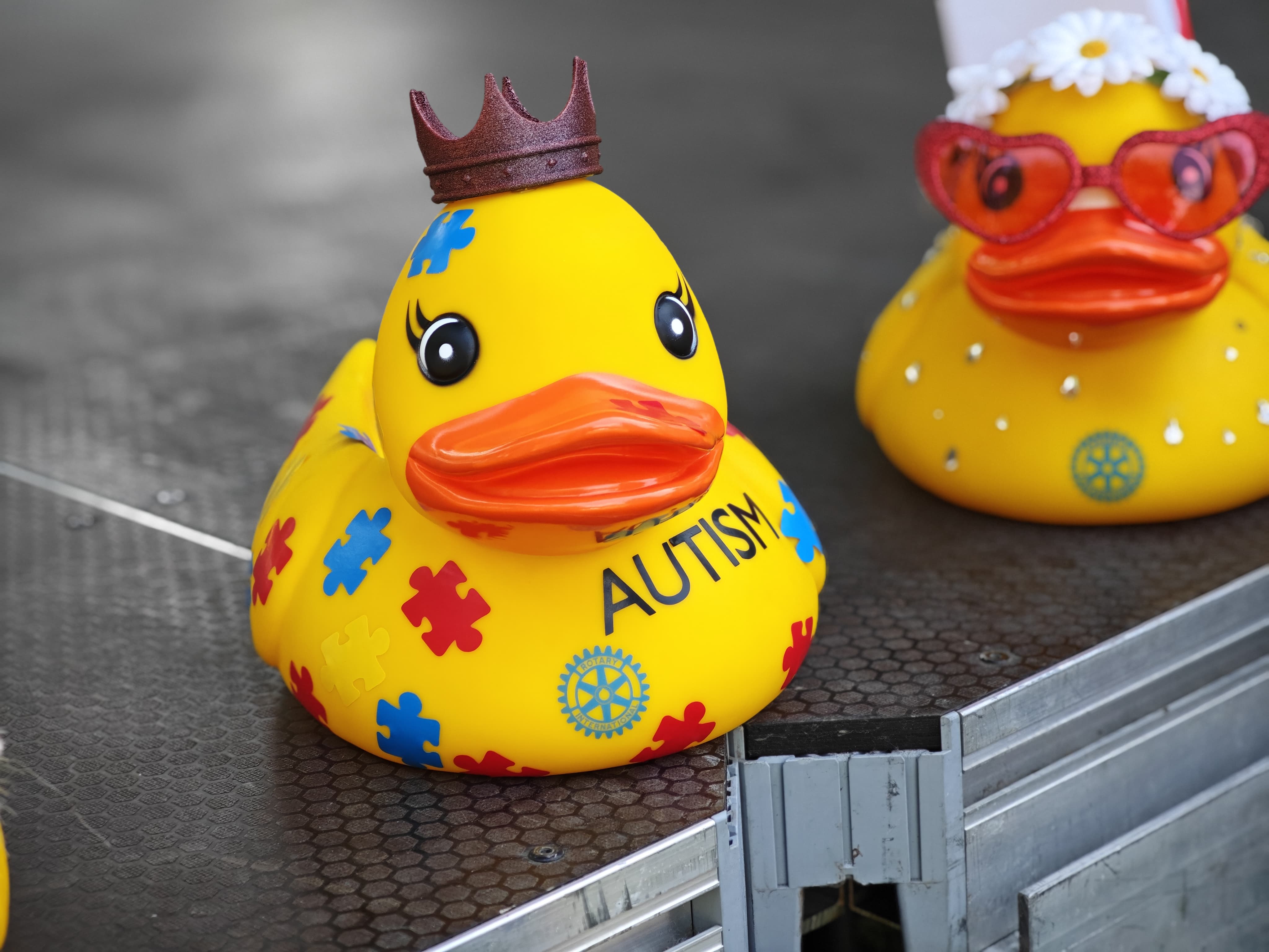 WhatsApp Image 2025-06-01 at 11.57.49