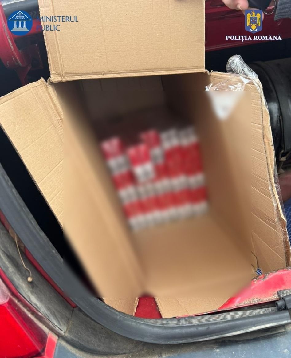 WhatsApp Image 2025-06-02 at 10.29.02 (1)