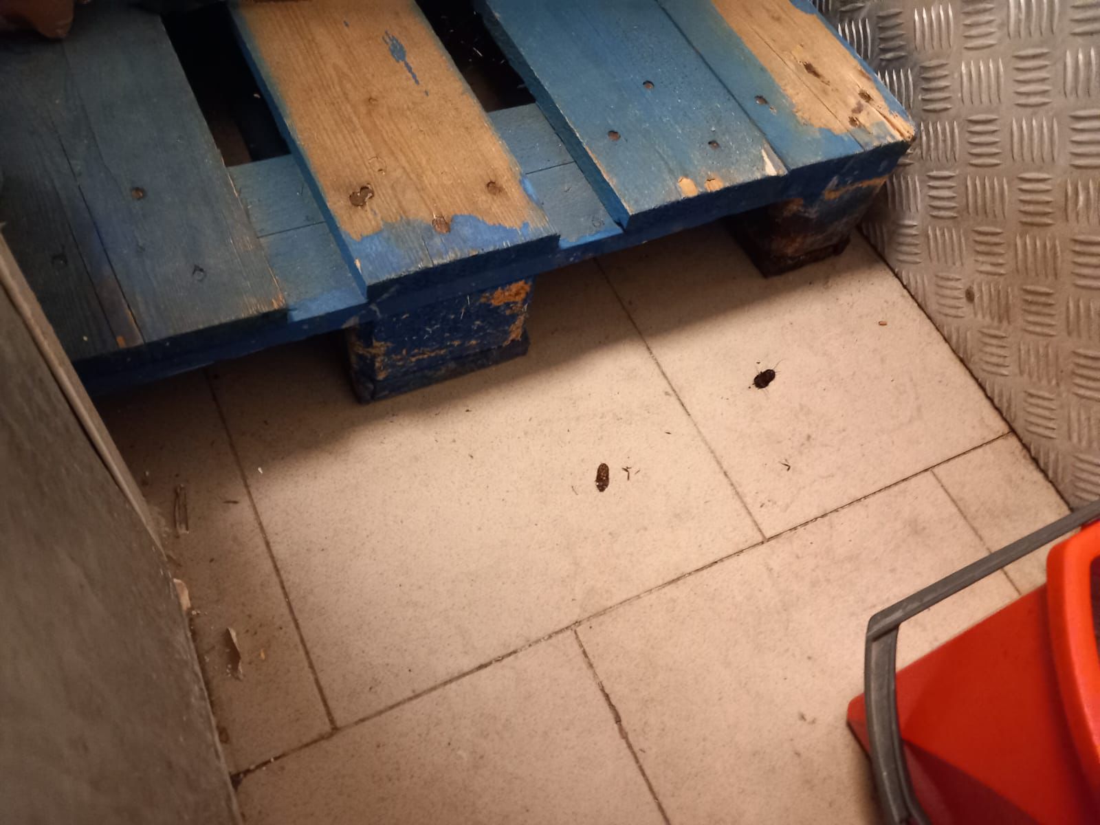 WhatsApp Image 2025-06-04 at 14.49.39