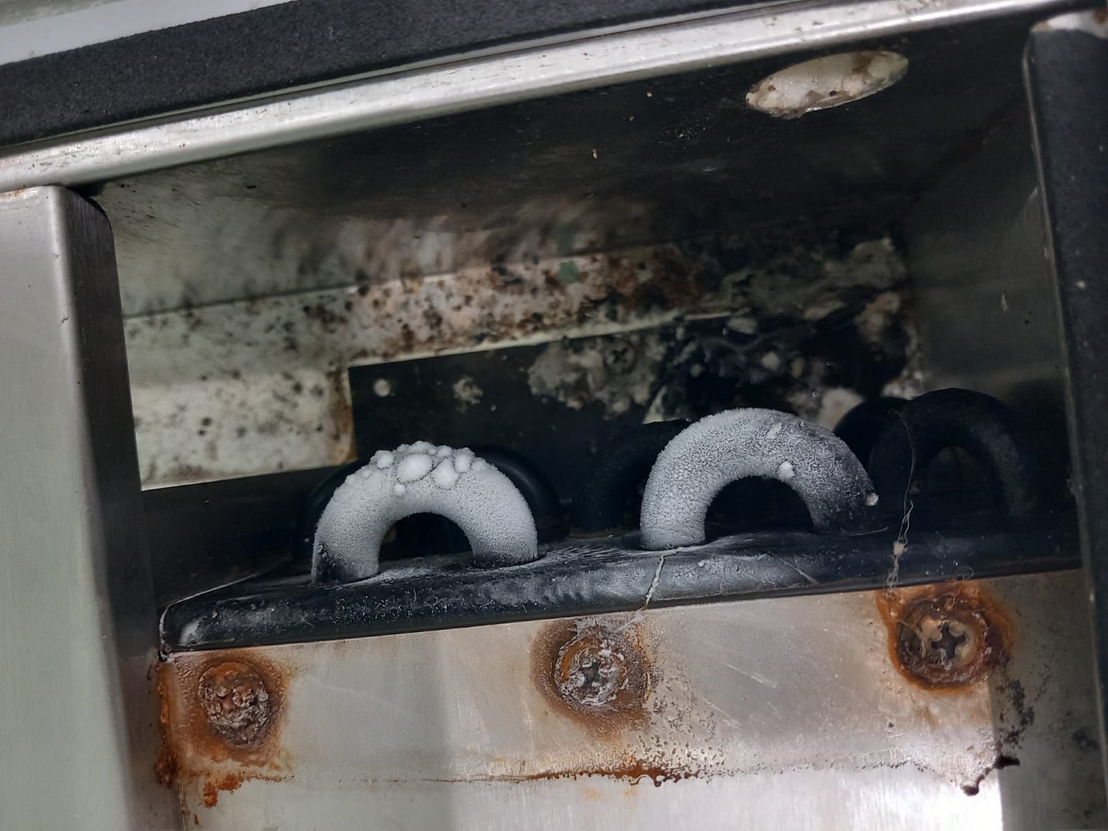 WhatsApp Image 2025-06-04 at 14.49.38 (1)