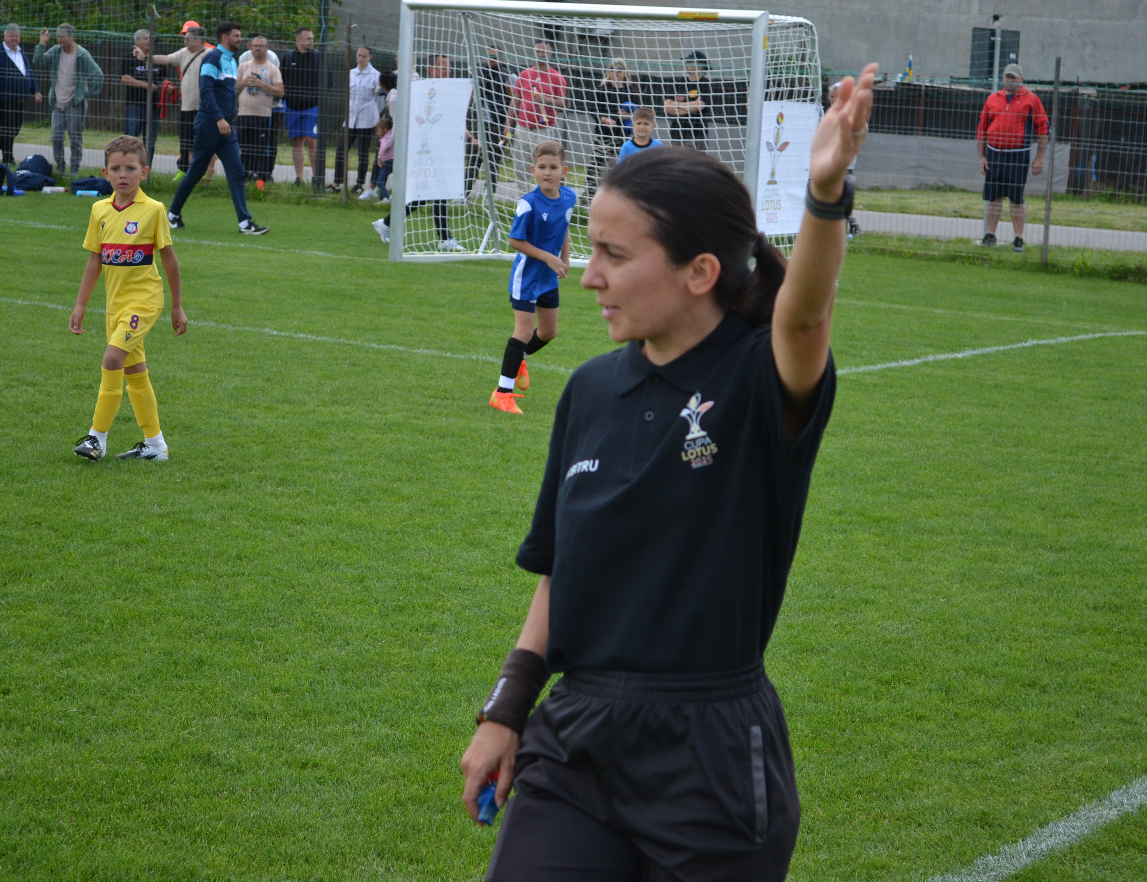 arbitri8