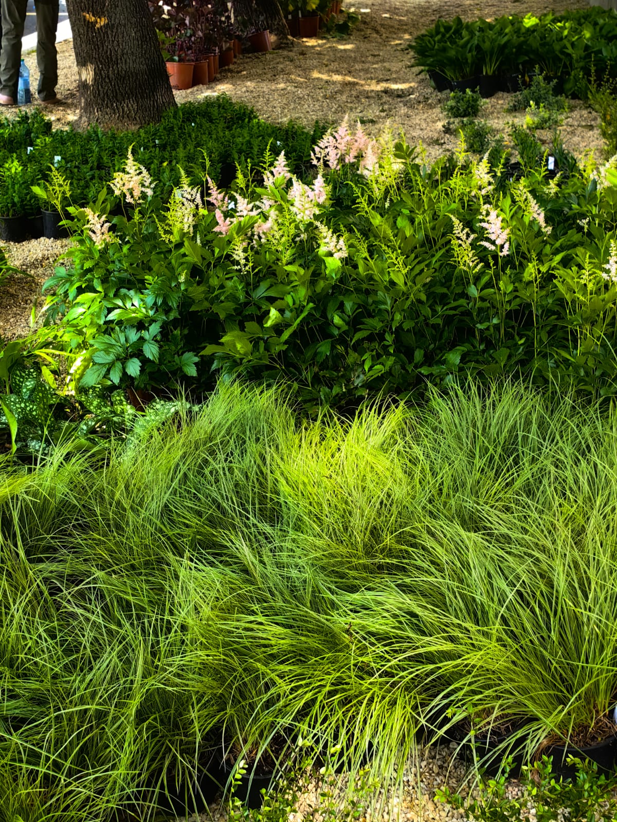 WhatsApp Image 2025-06-05 at 13.03.07