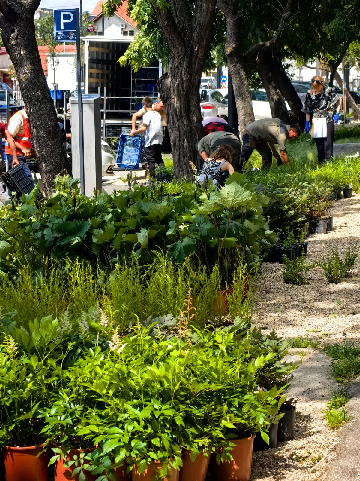 WhatsApp Image 2025-06-05 at 13.03.08