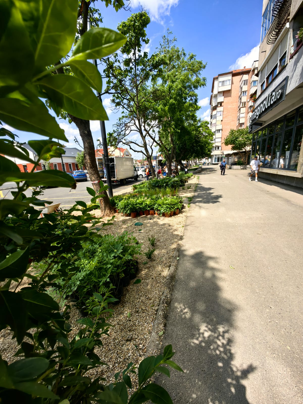 WhatsApp Image 2025-06-05 at 13.03.09