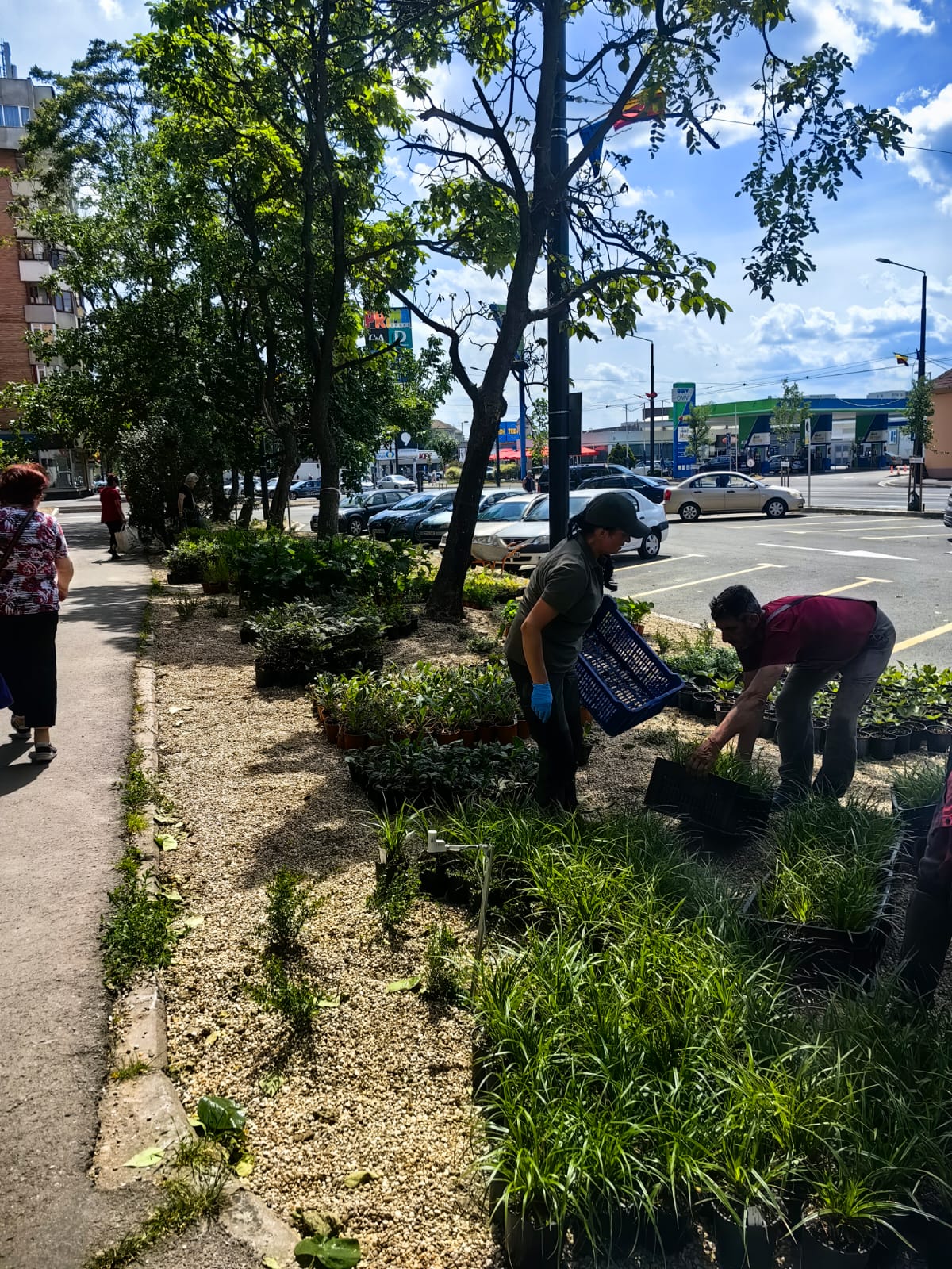 WhatsApp Image 2025-06-05 at 13.03.10