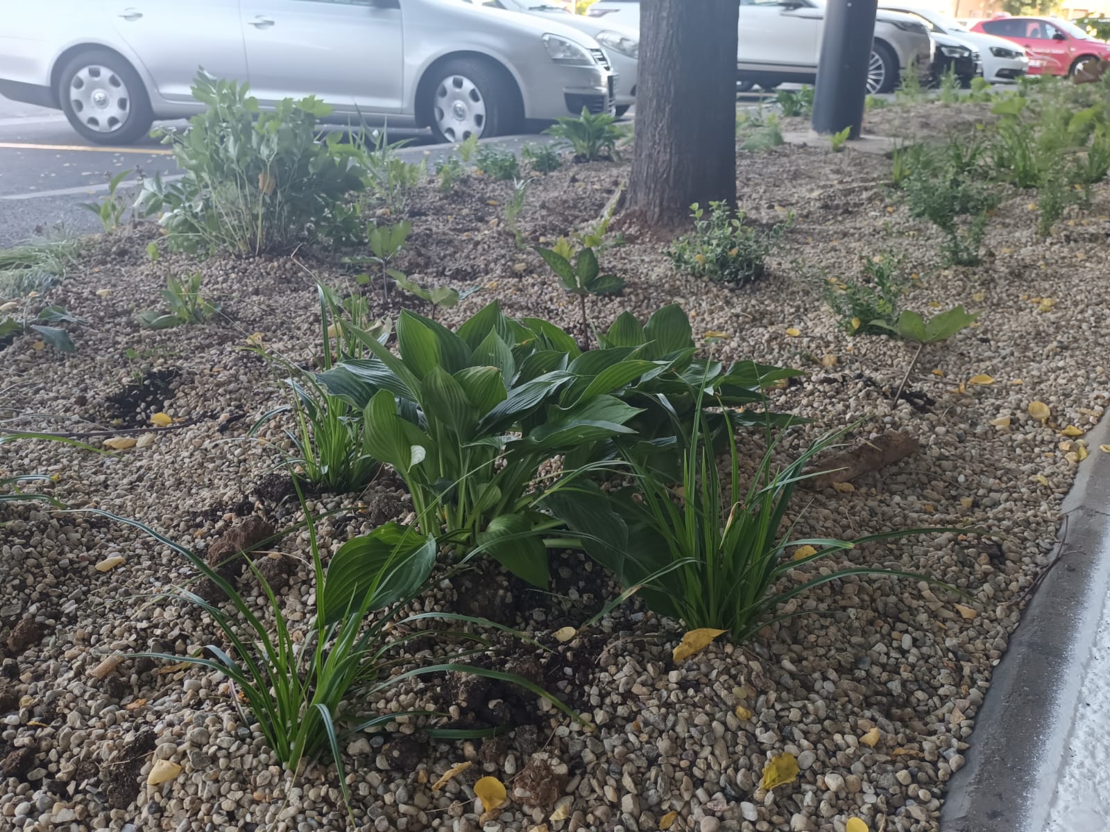 WhatsApp Image 2025-06-05 at 13.03.29 (1)