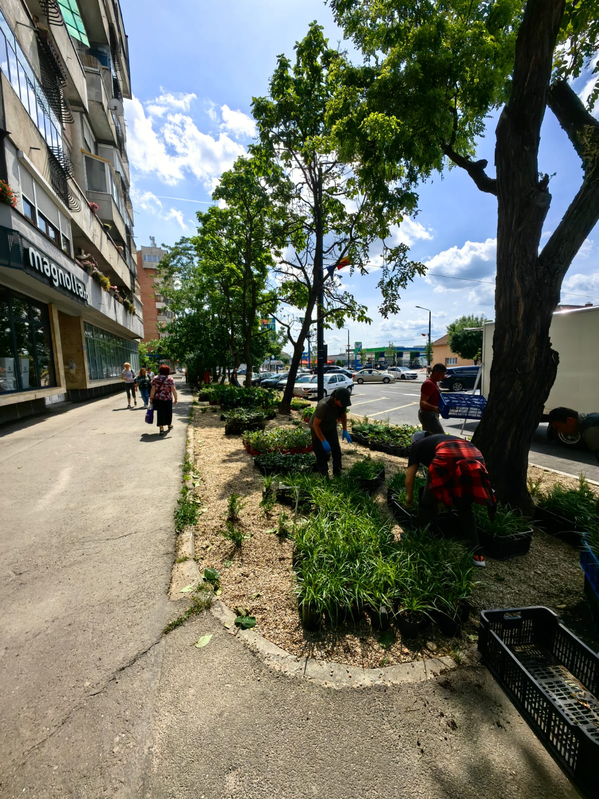 WhatsApp Image 2025-06-05 at 13.03.10 (2)