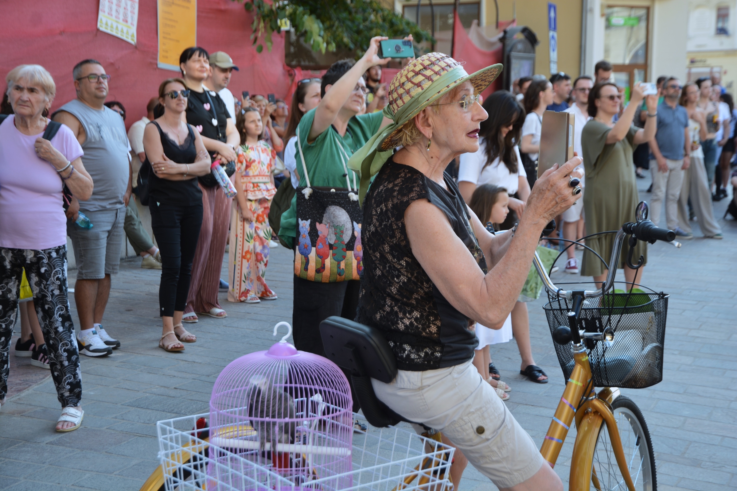 Ziua Art Nouveau 2025, la Oradea (54)