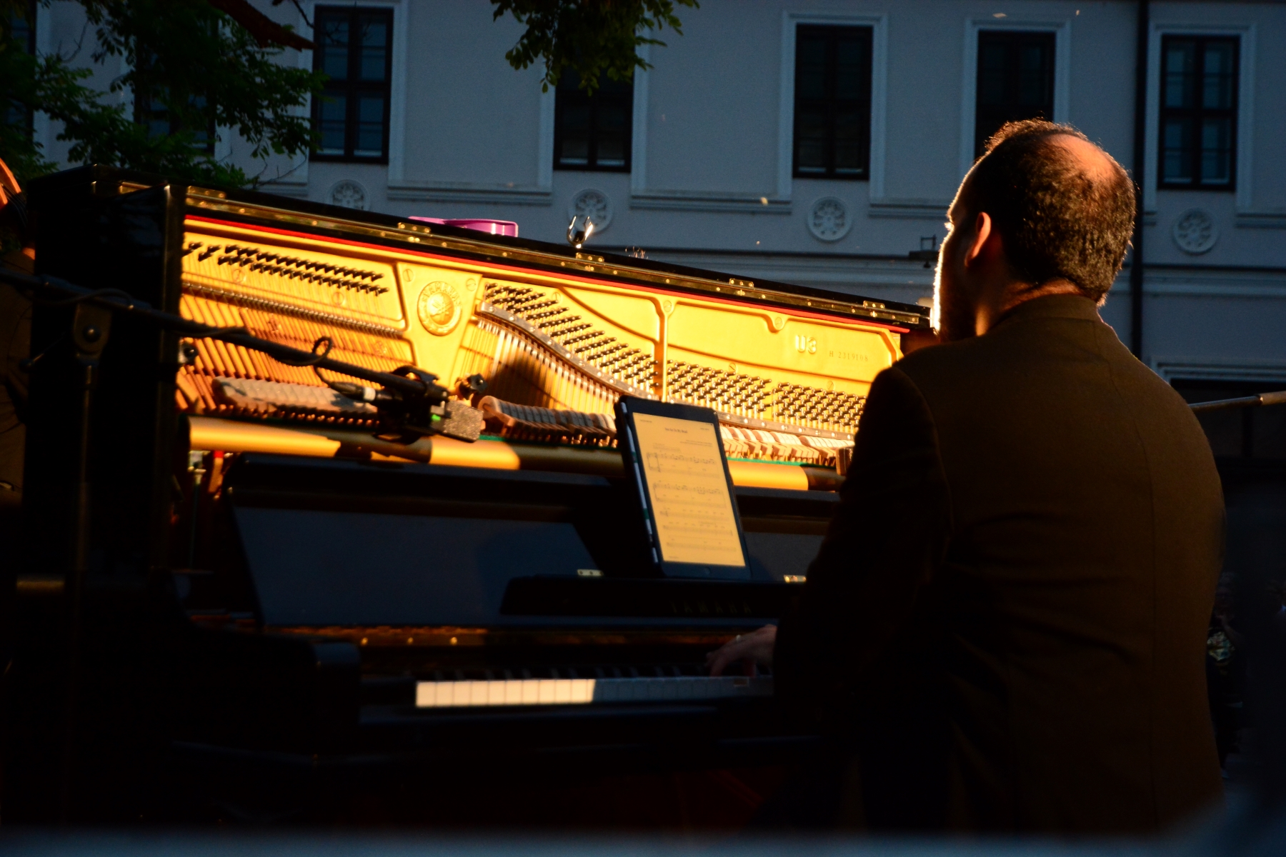 Ziua Art Nouveau 2025, la Oradea (88)