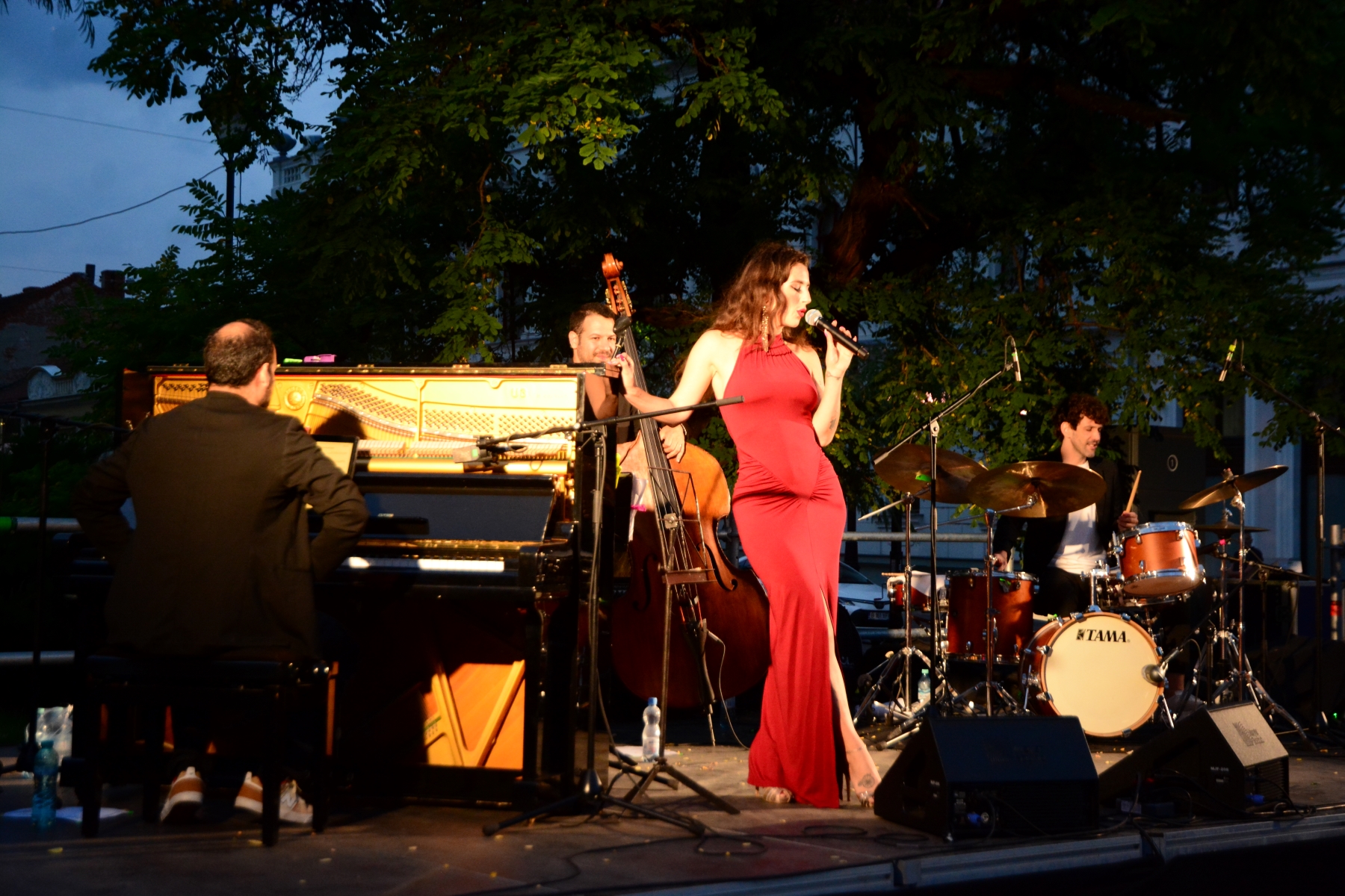 Ziua Art Nouveau 2025, la Oradea (99)