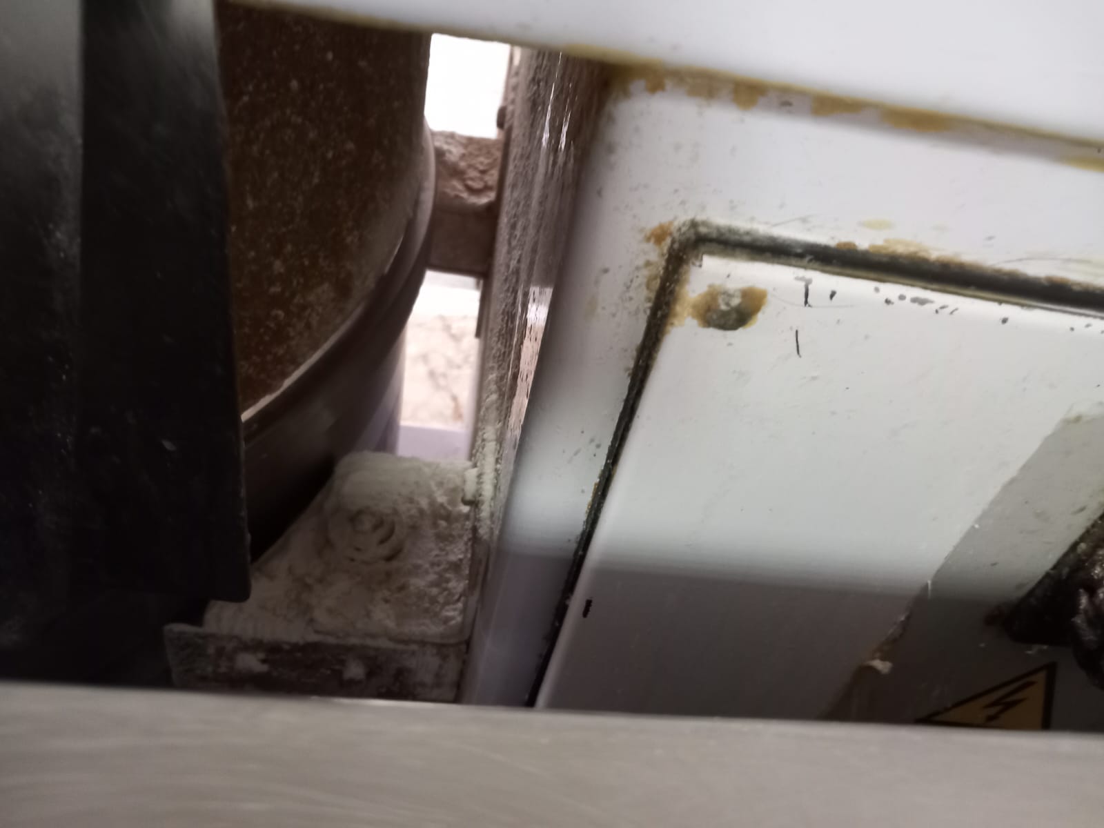 WhatsApp Image 2025-06-10 at 15.48.30