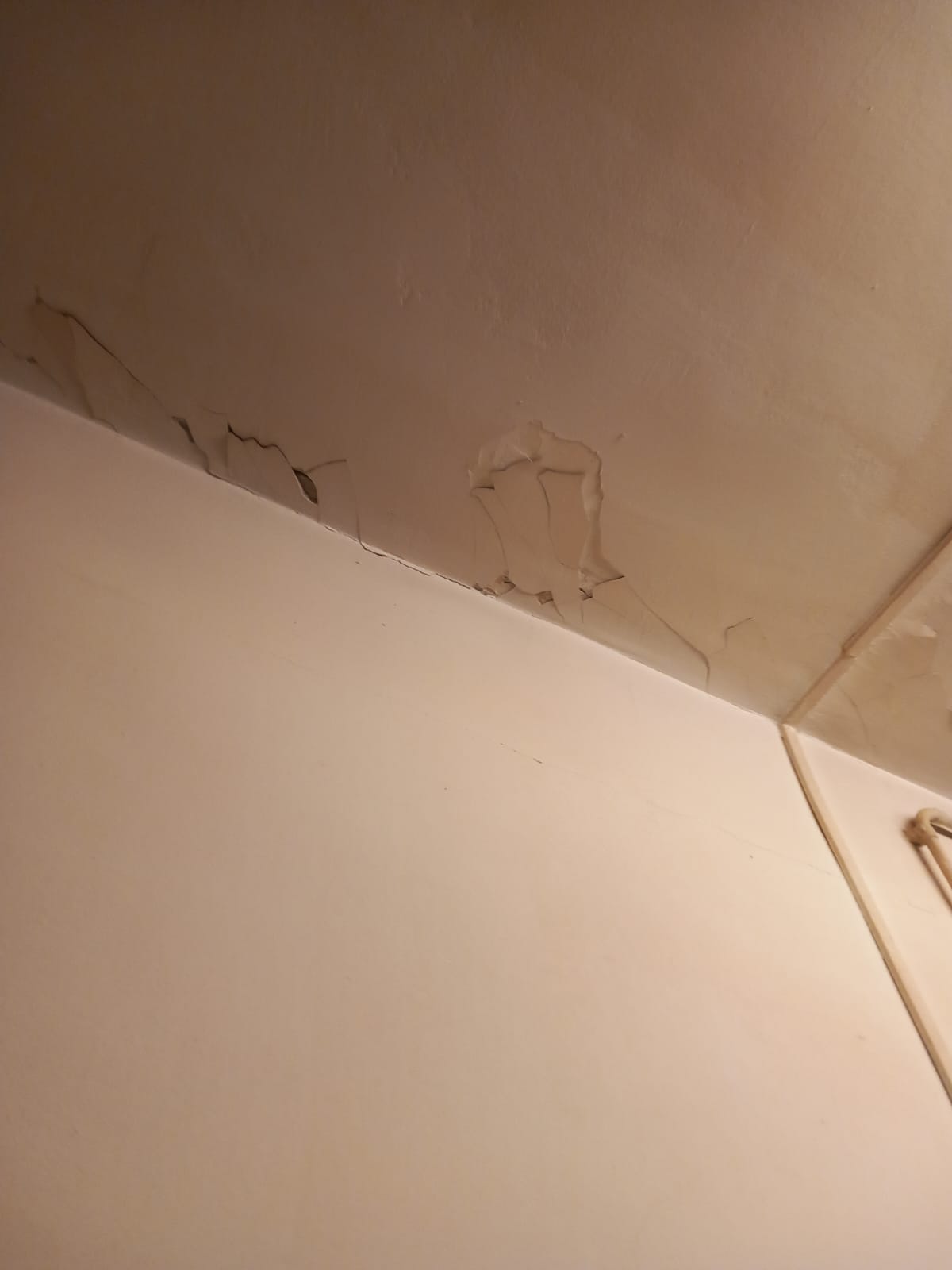 WhatsApp Image 2025-06-10 at 15.48.29