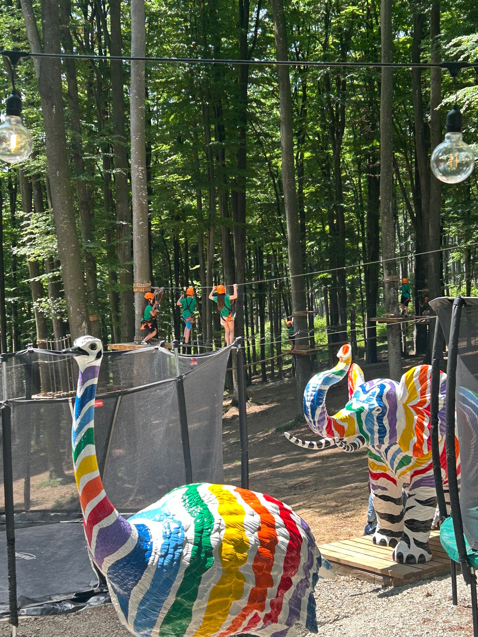 dueadeventurepark (2)