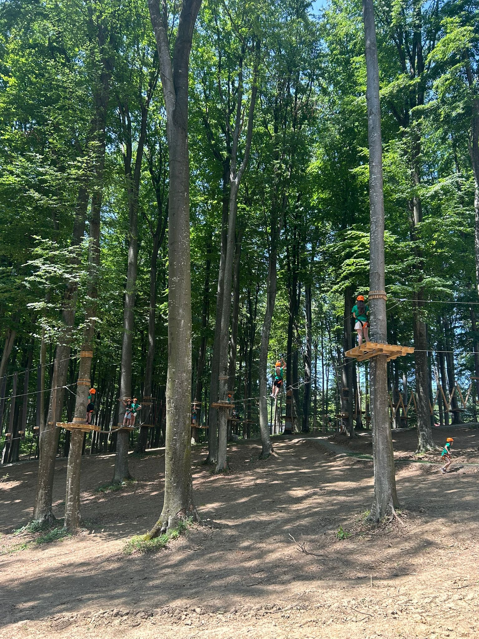 dueadeventurepark (3)