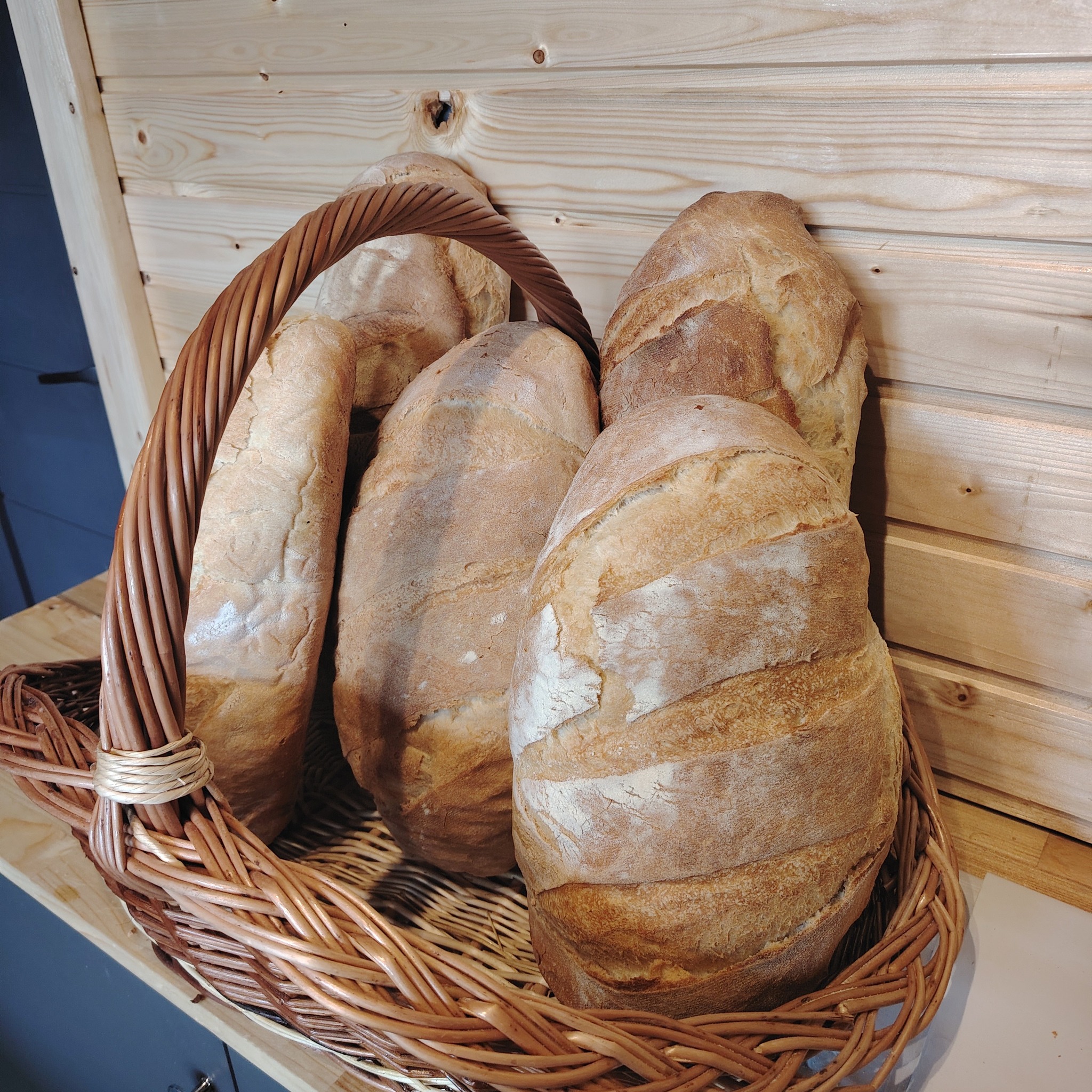 491925113_1118282023390613_2800793860345519343_n