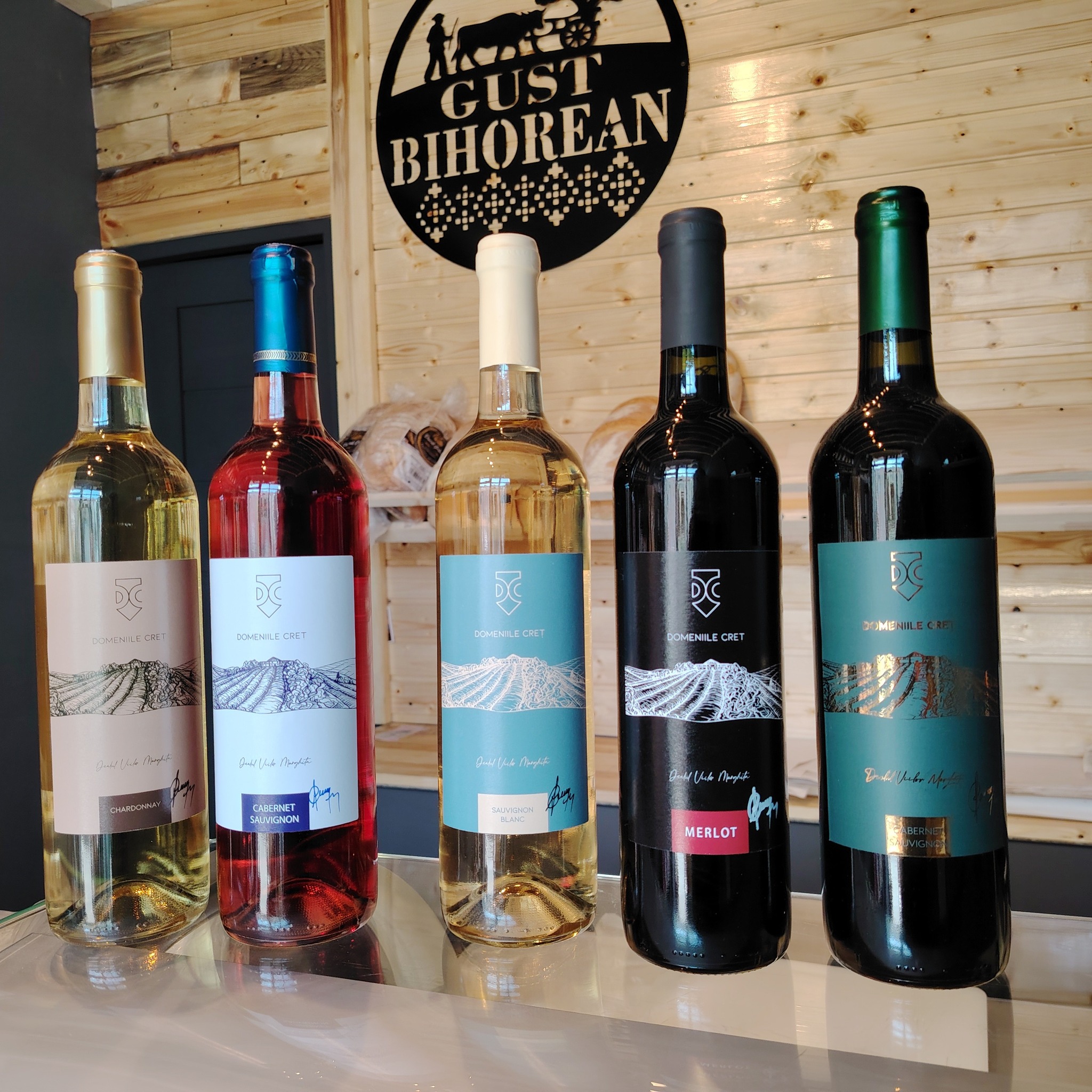 492122064_1121435009741981_3493471982151687002_n