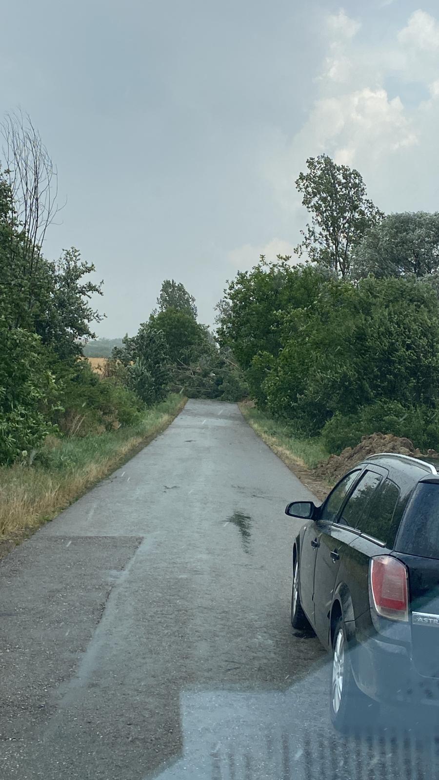 WhatsApp Image 2025-07-07 at 18.27.21