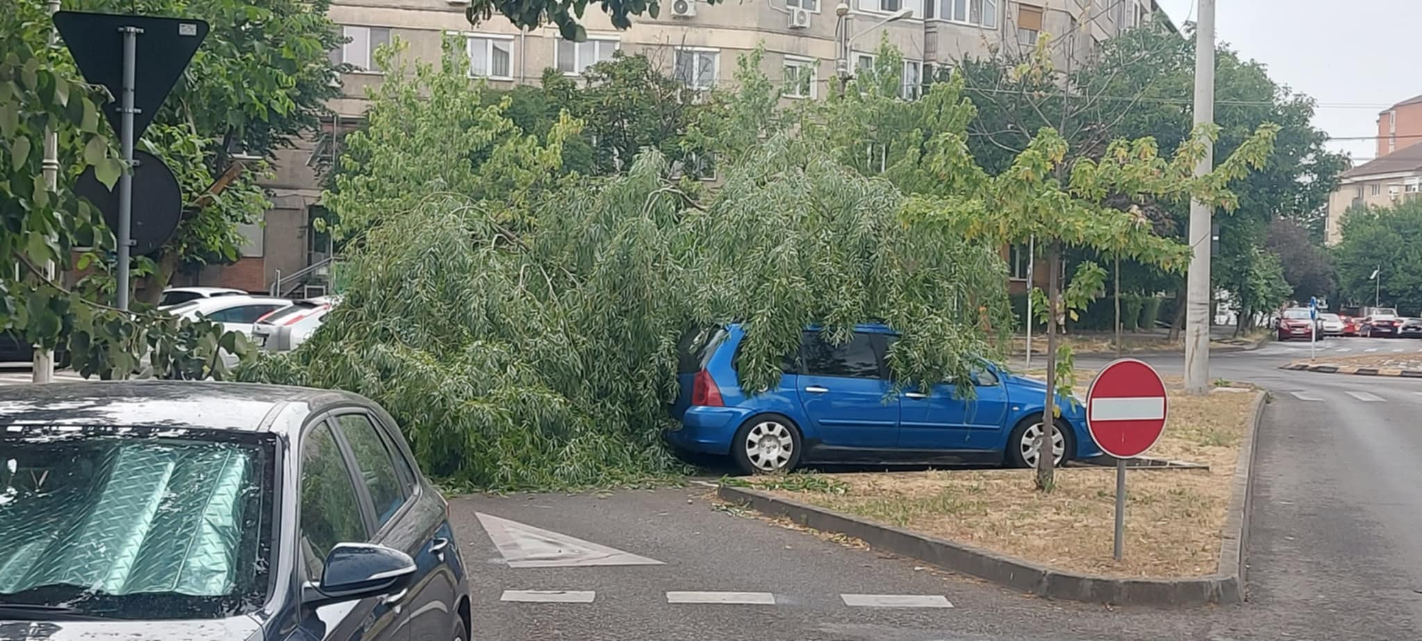 a169c77c-7645-4157-afd8-9ae154d1ebd2