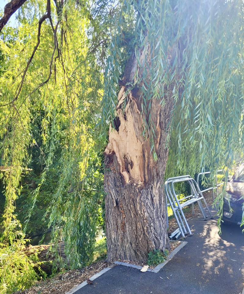 517413255_1057678543214026_831372156807898058_n (1)