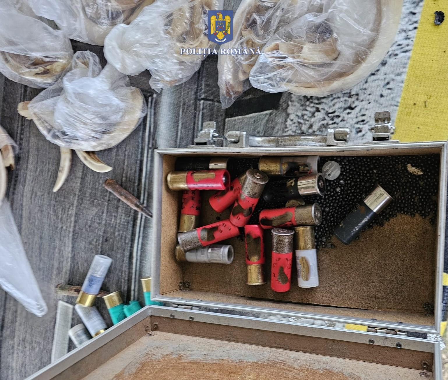 87e2ac17-f561-42ae-a1d9-0ccfa7c48565