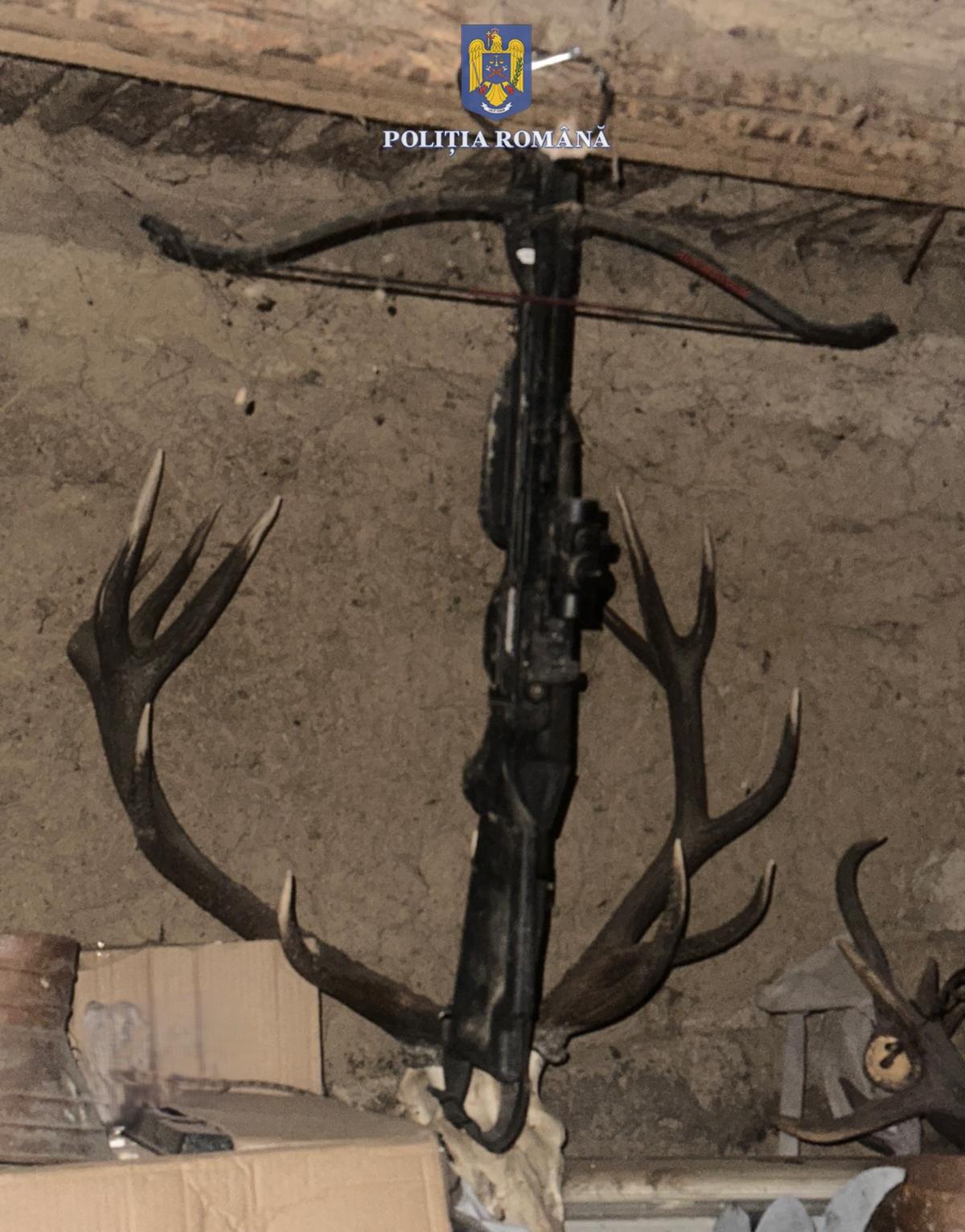 eb69ca21-f606-4d83-a65c-814e77bff27a