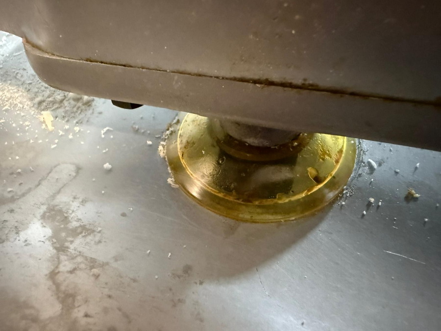 WhatsApp Image 2025-07-107