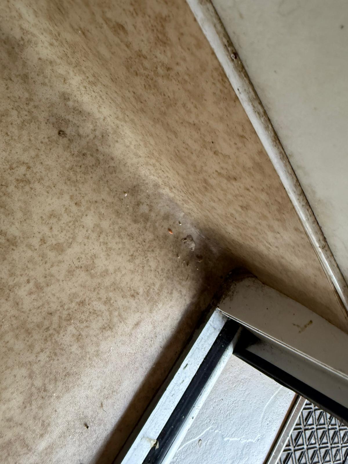 WhatsApp Image 2025-07-10 at 09.52.44 (1)