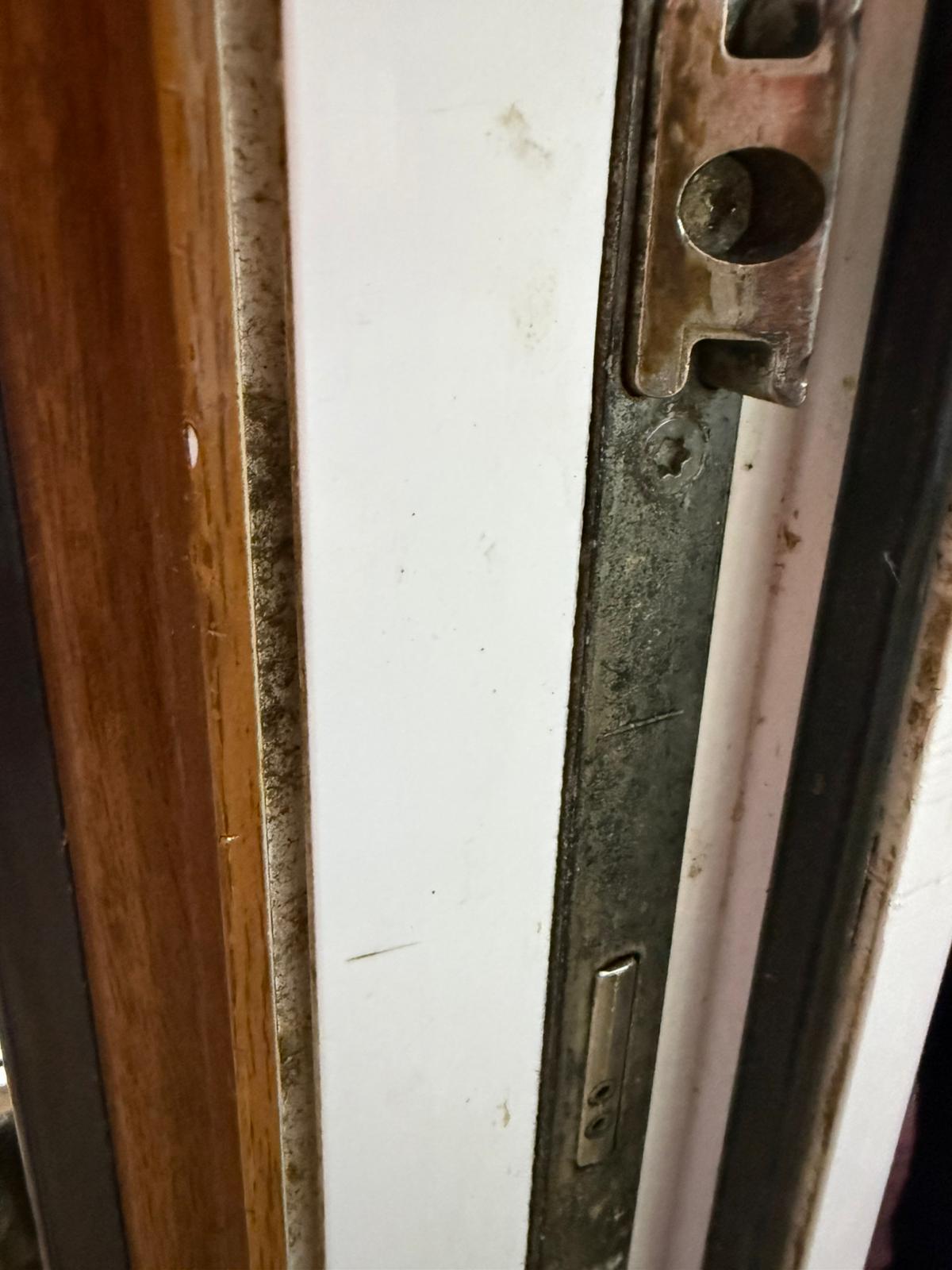 WhatsApp Image 2025-07-10 at 09.52.44