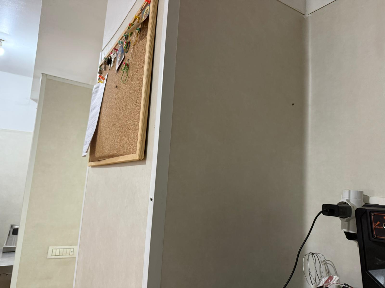 WhatsApp Image 2025-07-10 at 09.52.42